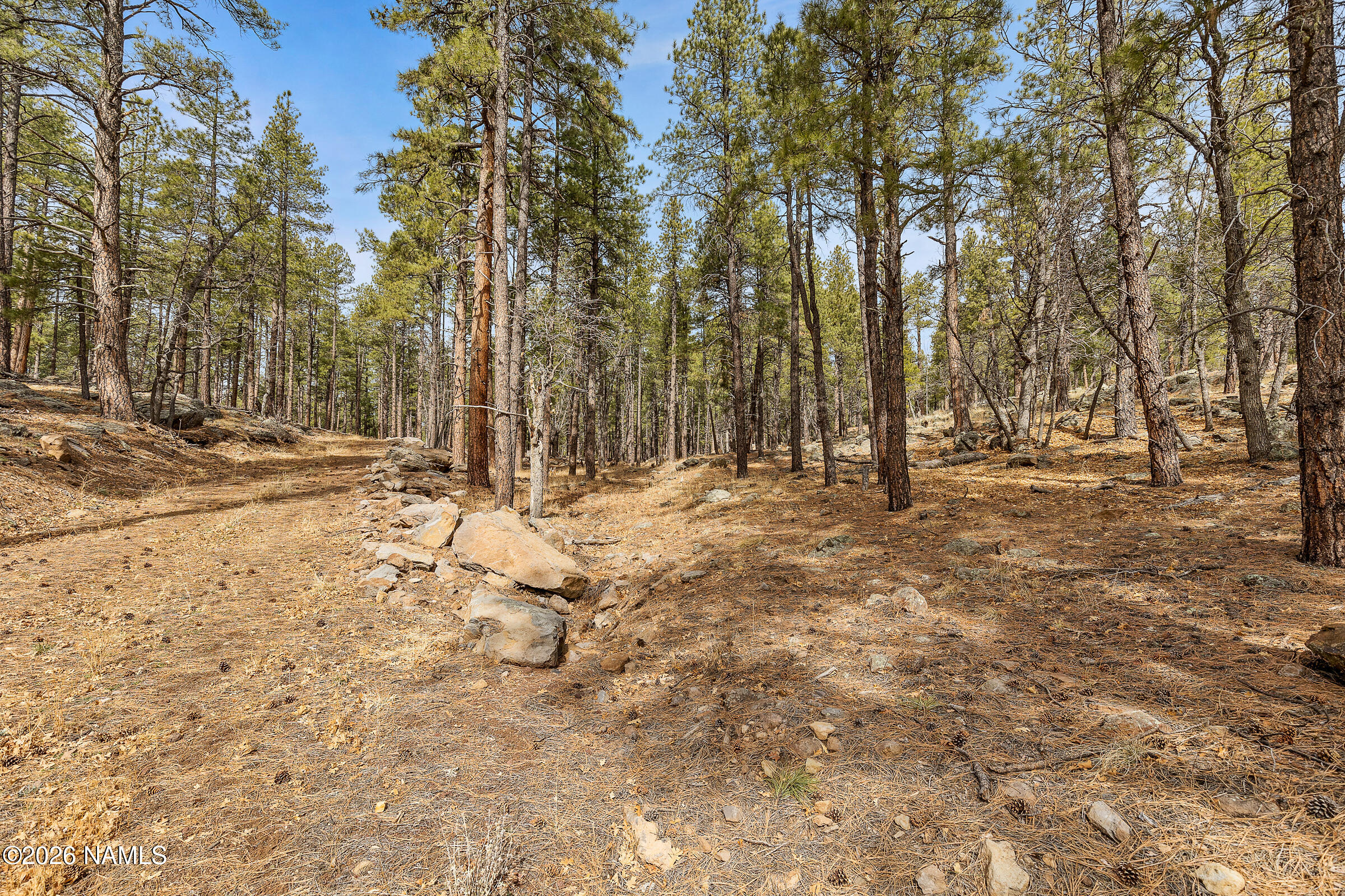 2851 Ben Brooks Lot #2