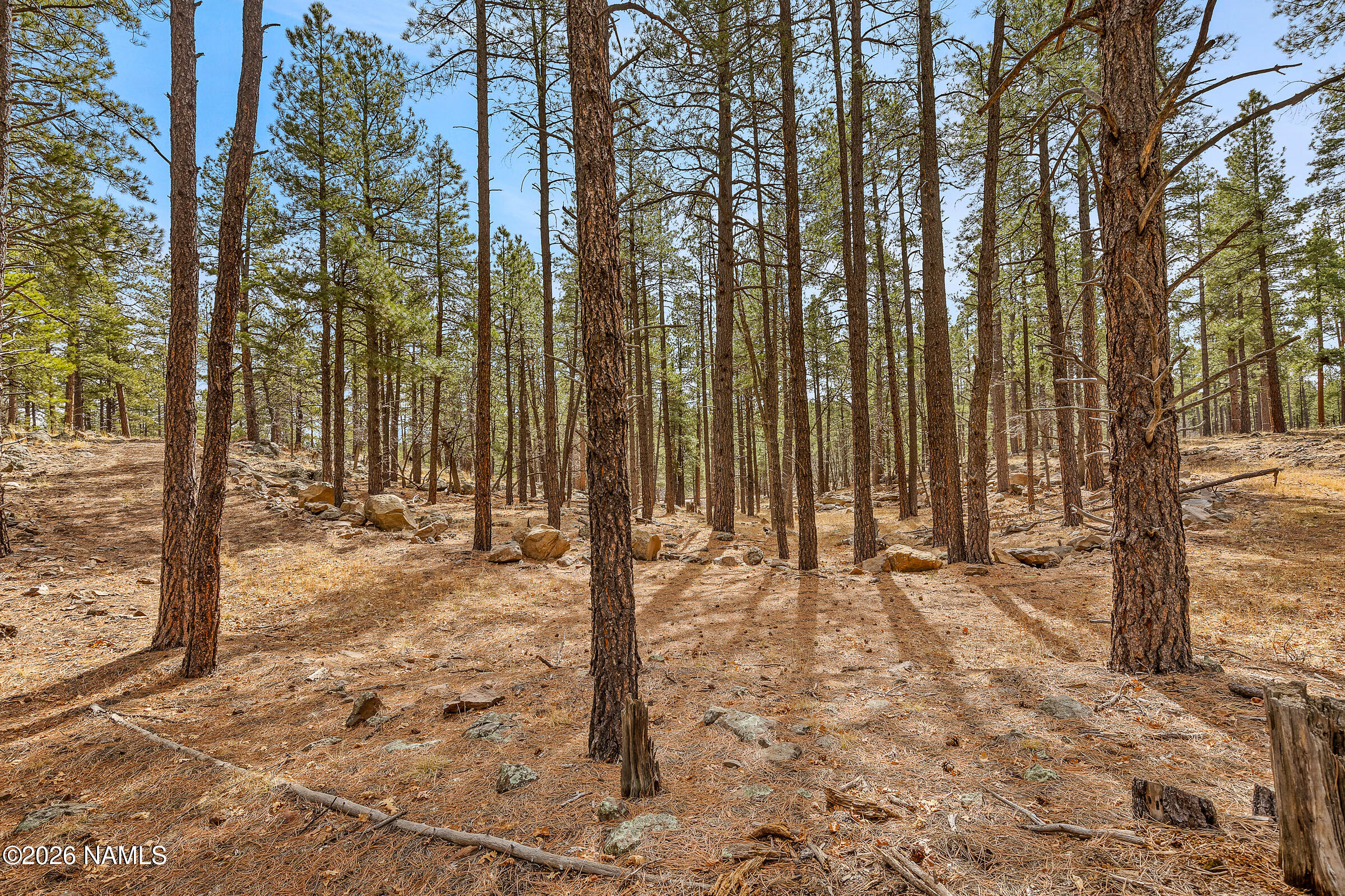 2851 Ben Brooks Lot #2