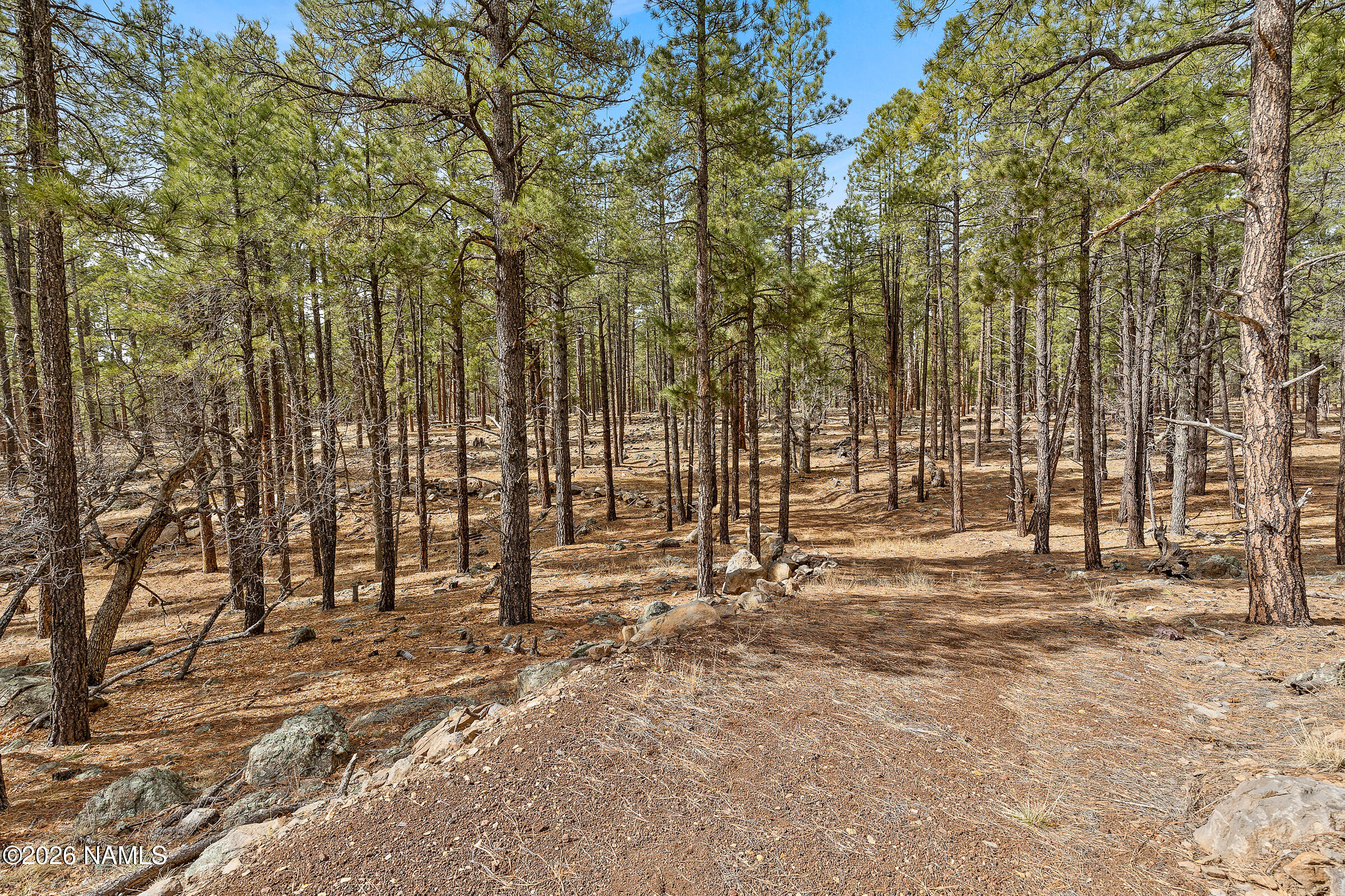 2851 Ben Brooks Lot #2
