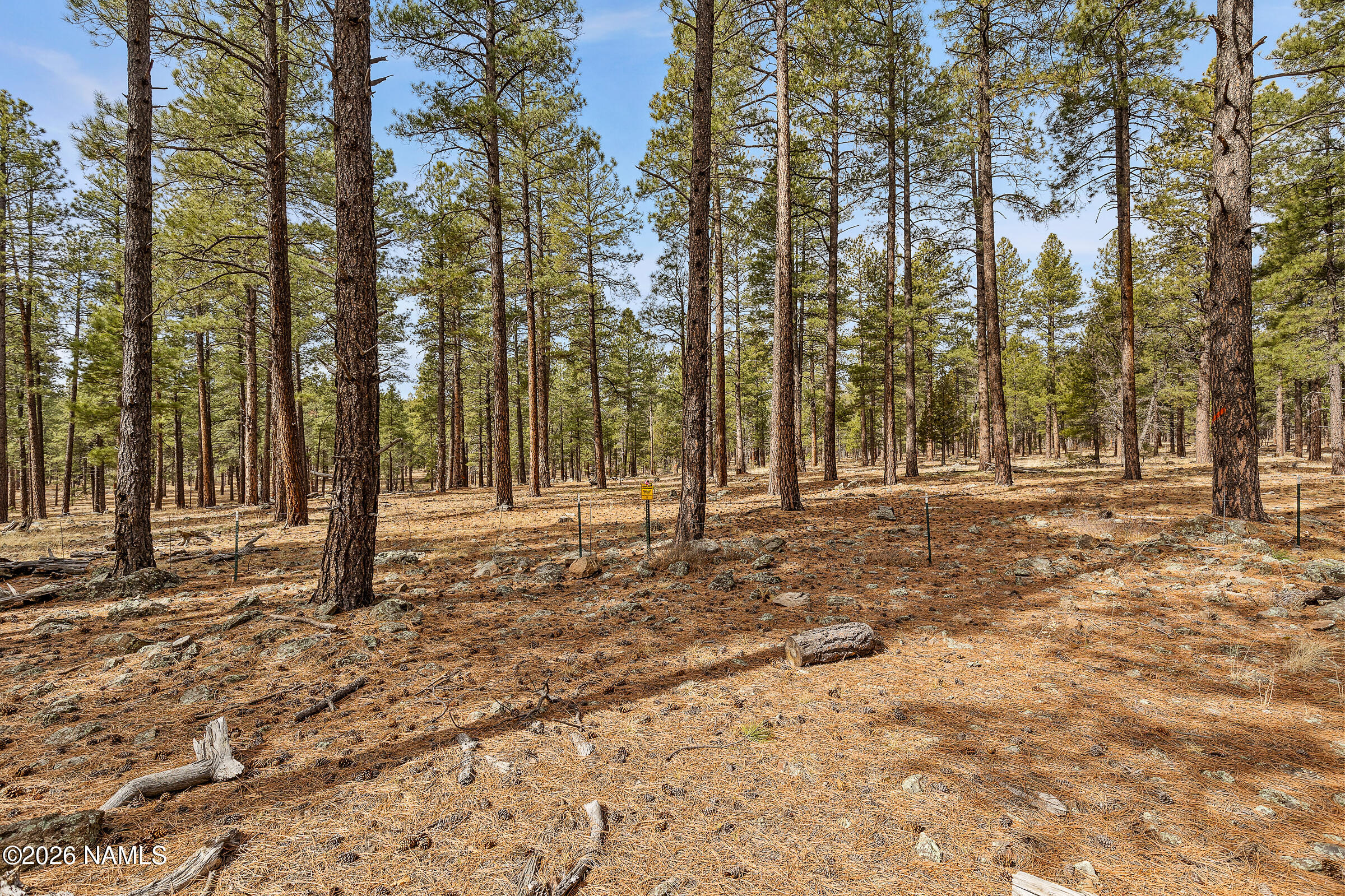2851 Ben Brooks Lot #2