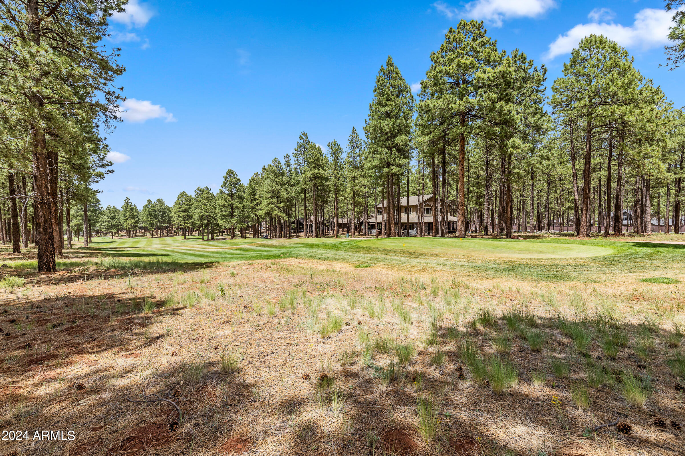 3770 S BRIDLE Path