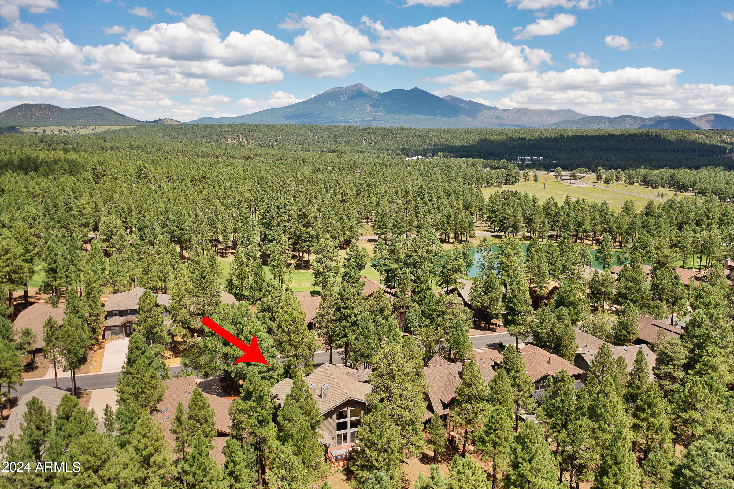 4615 W BRAIDED REIN