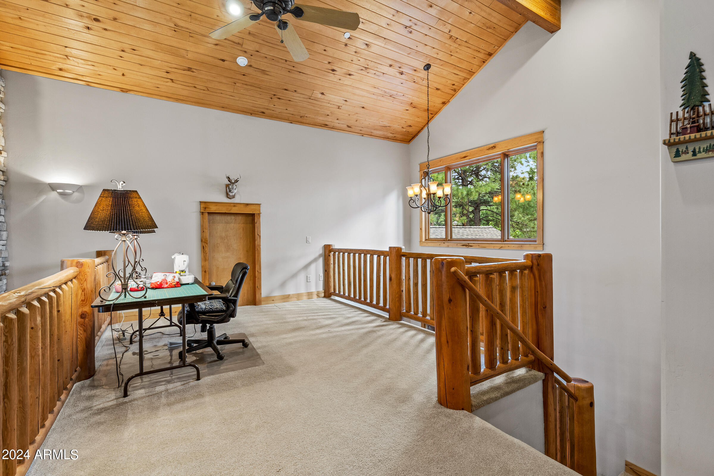 4615 W BRAIDED REIN