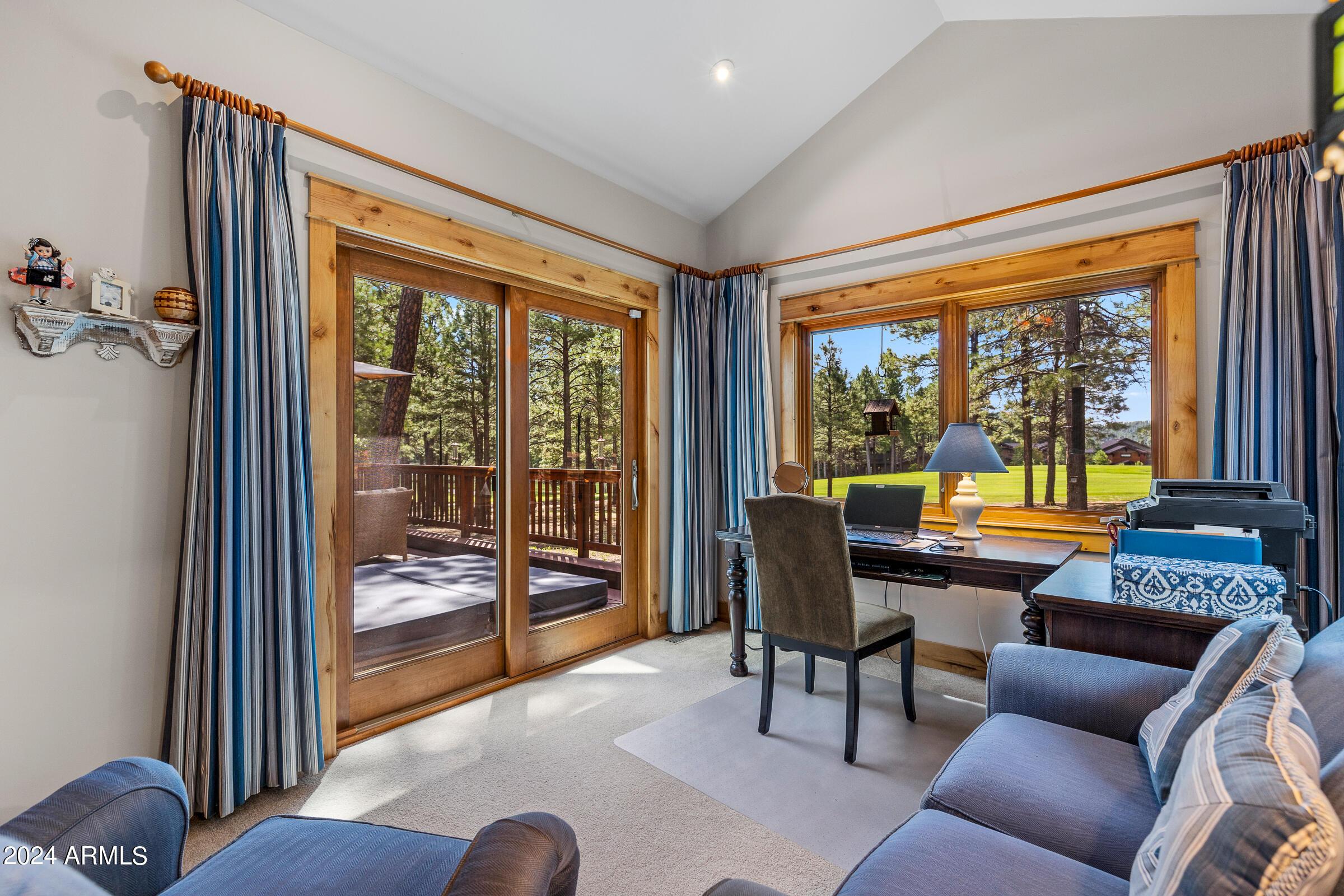 4615 W BRAIDED REIN
