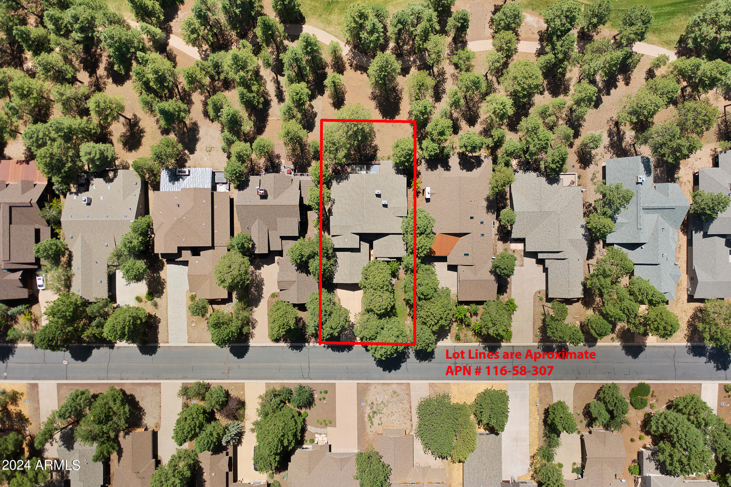 4615 W BRAIDED REIN
