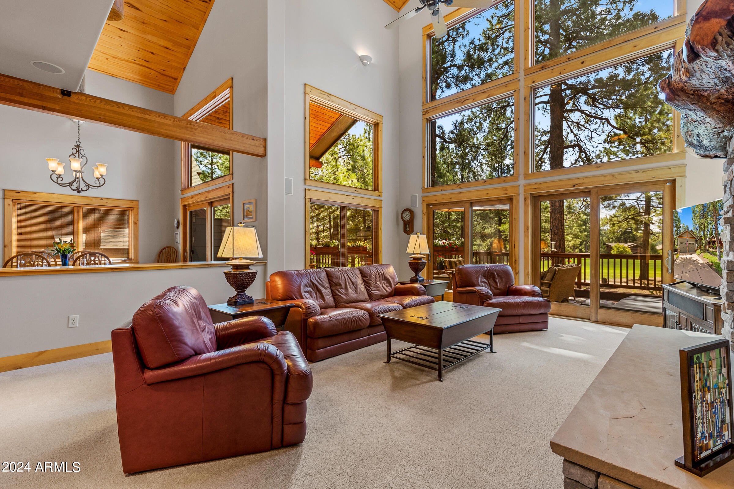 4615 W BRAIDED REIN