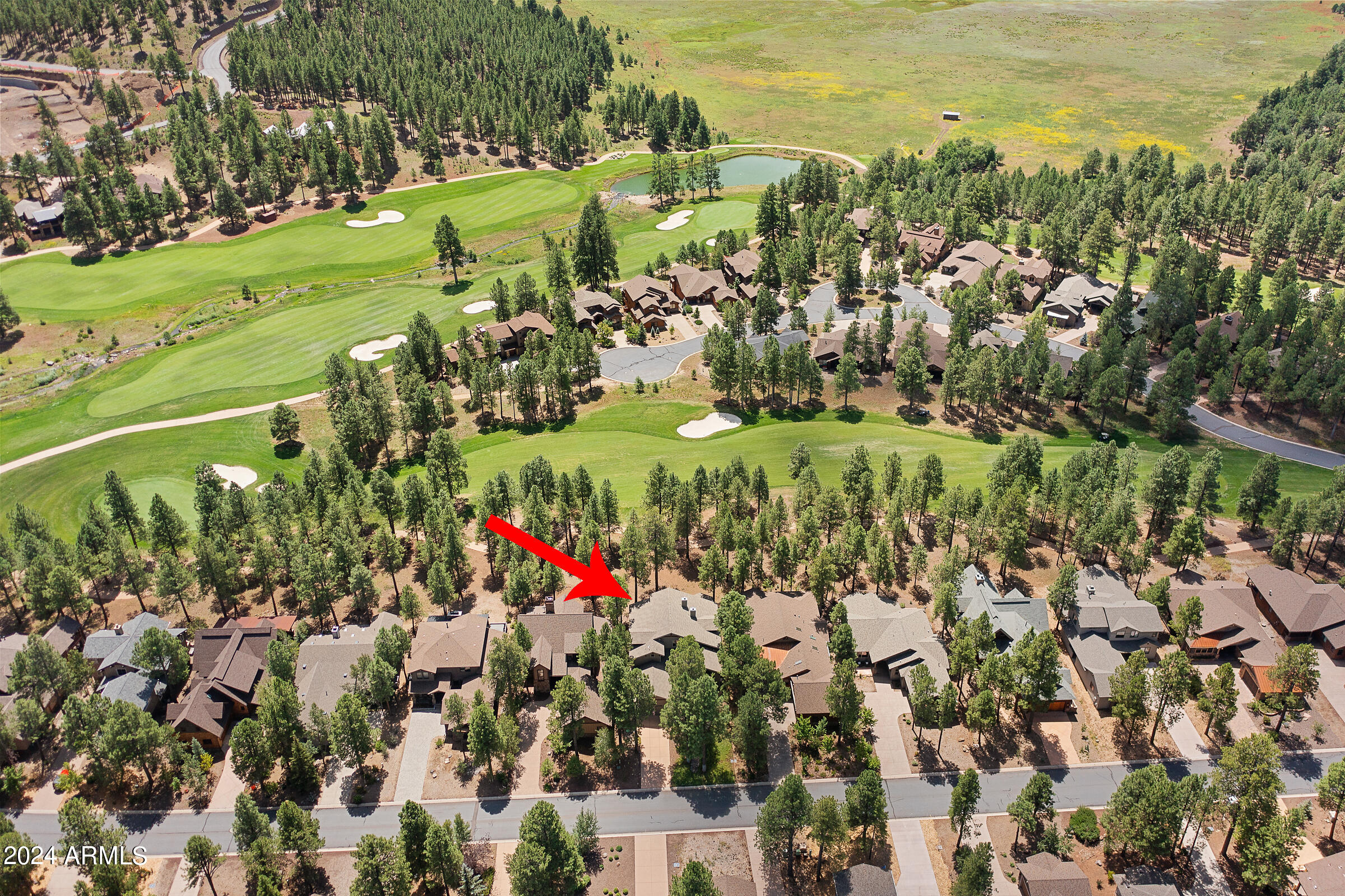4615 W BRAIDED REIN