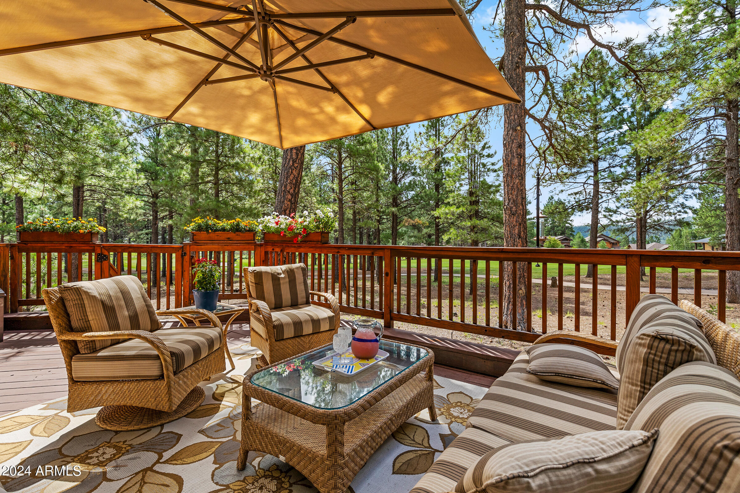4615 W BRAIDED REIN