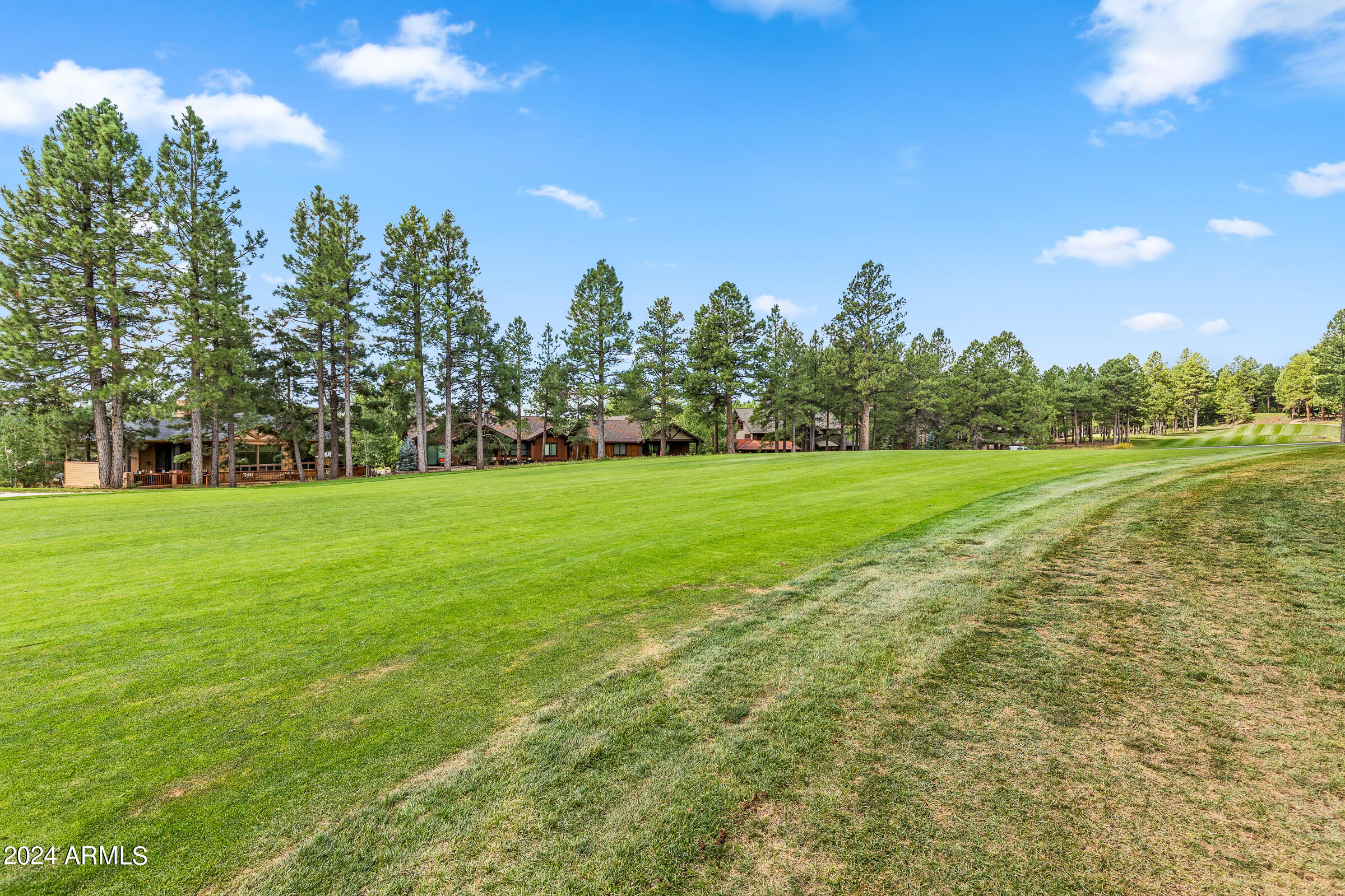 4615 W BRAIDED REIN