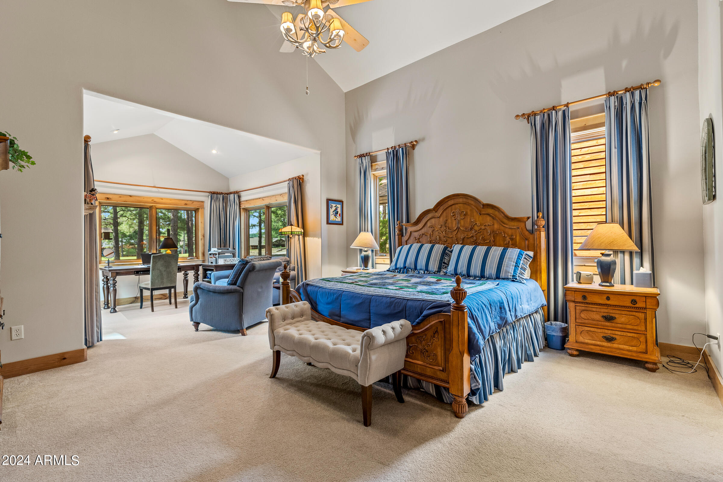 4615 W BRAIDED REIN