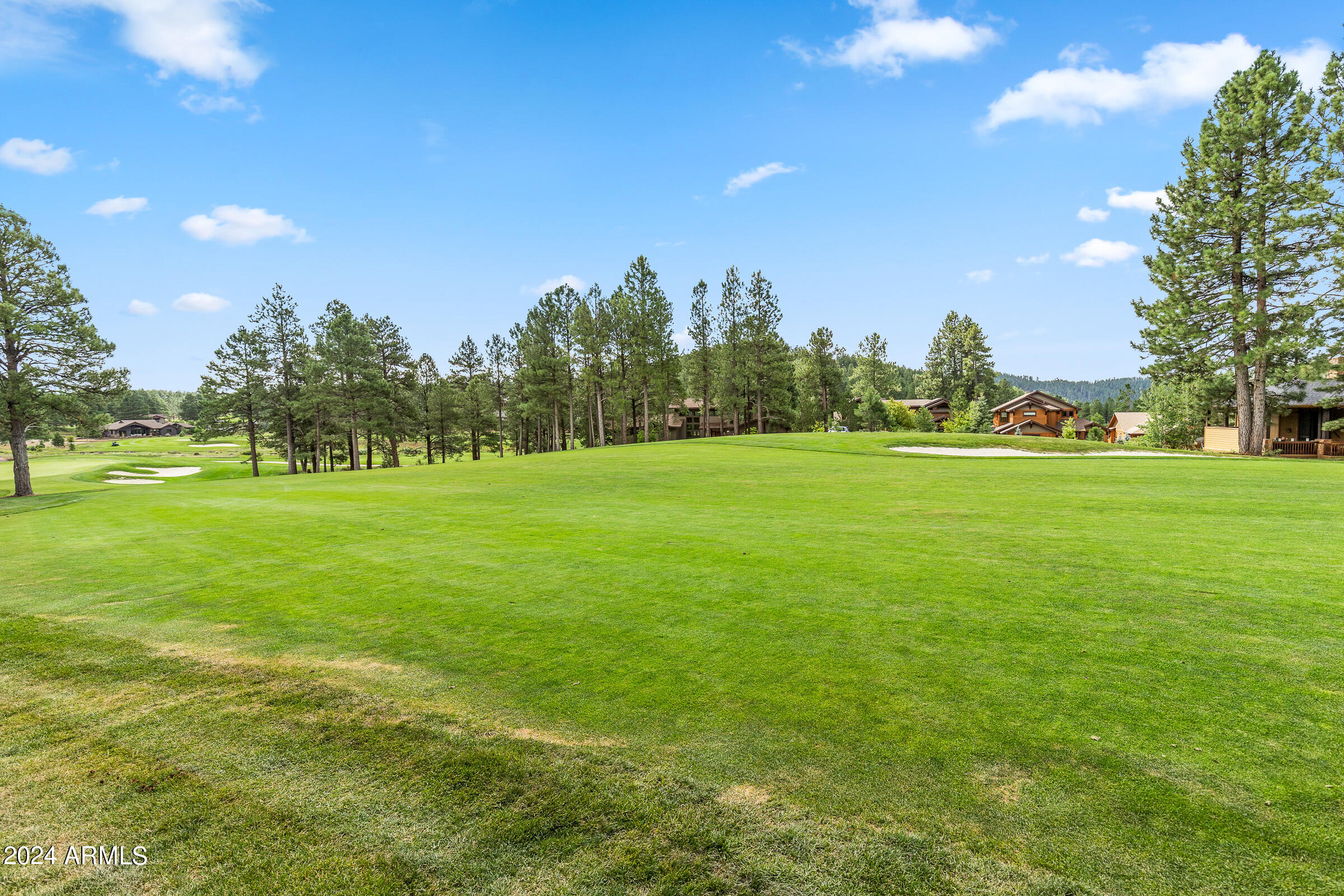 4615 W BRAIDED REIN