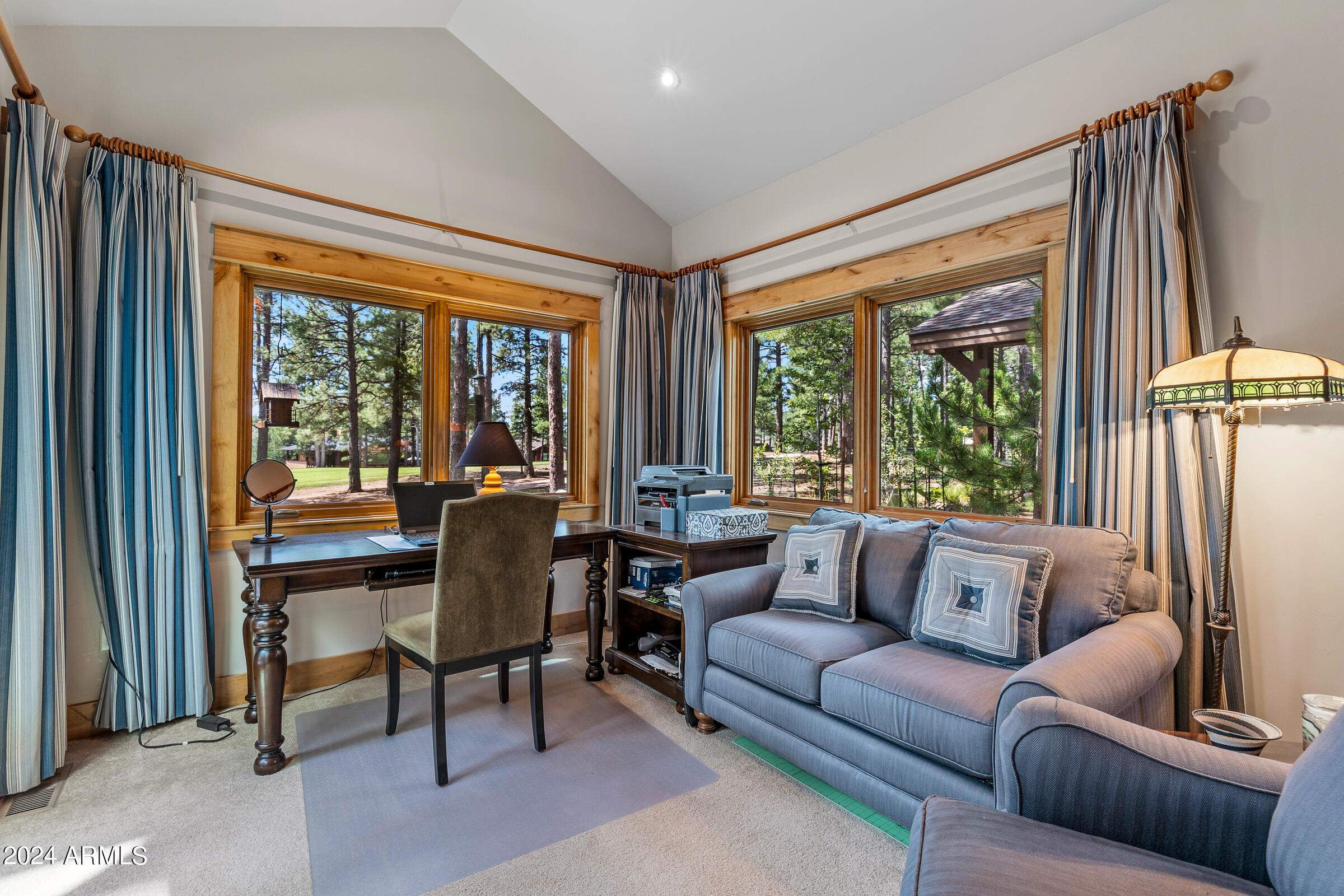 4615 W BRAIDED REIN