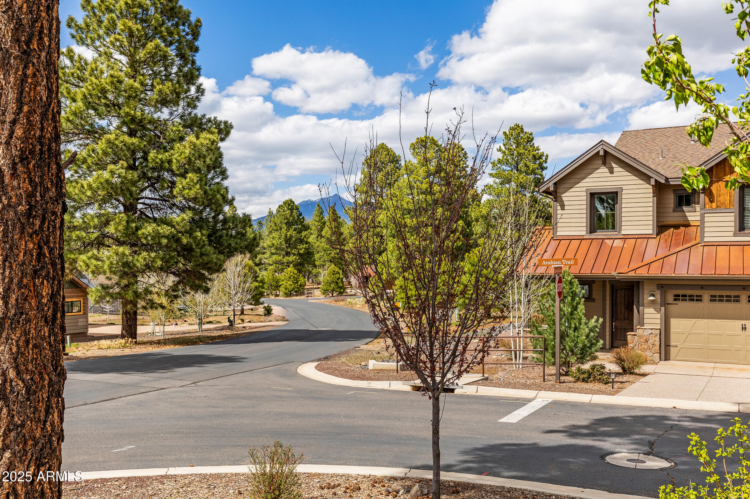4445 W ARABIAN Trail