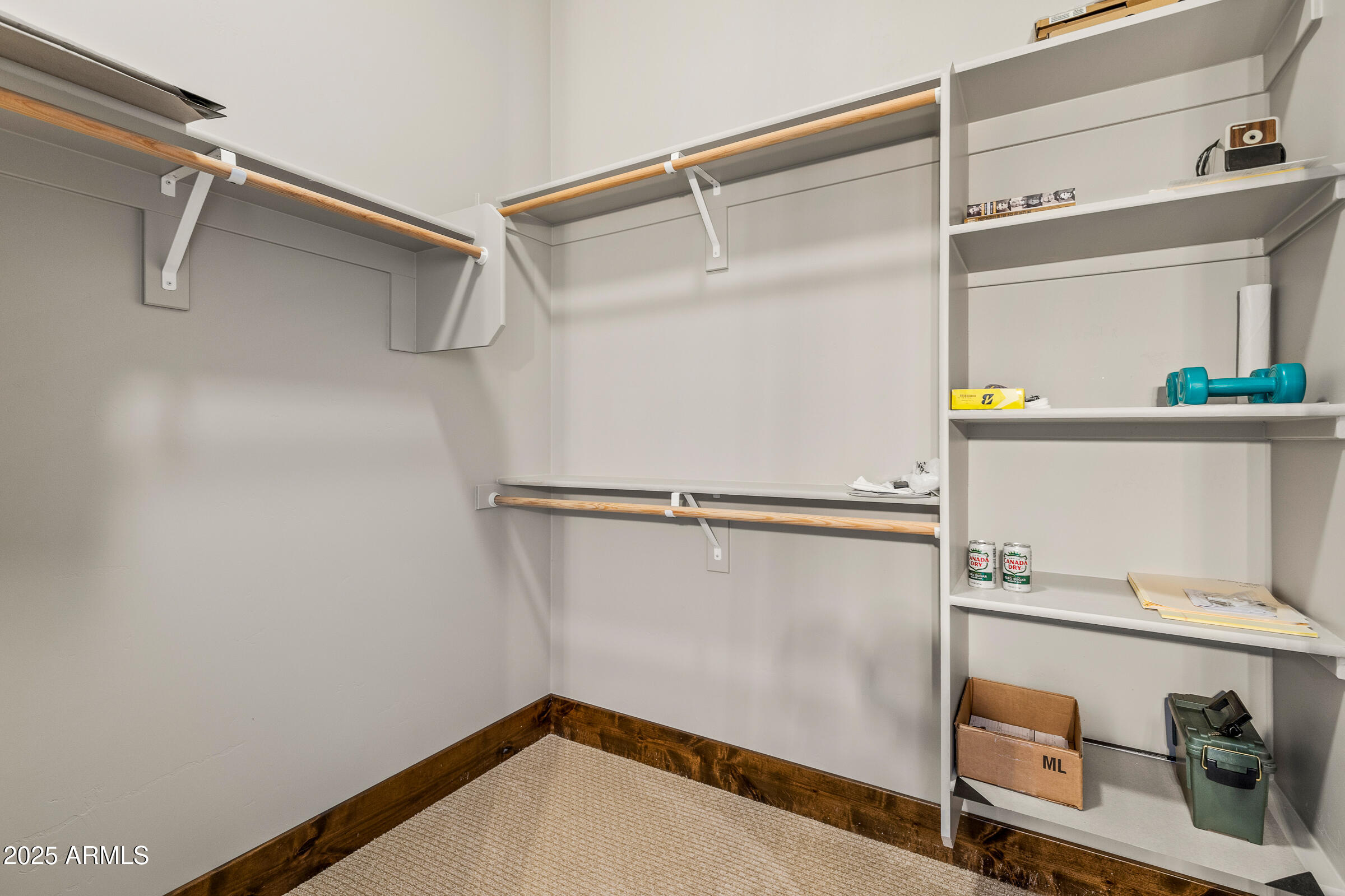 4445 W ARABIAN Trail