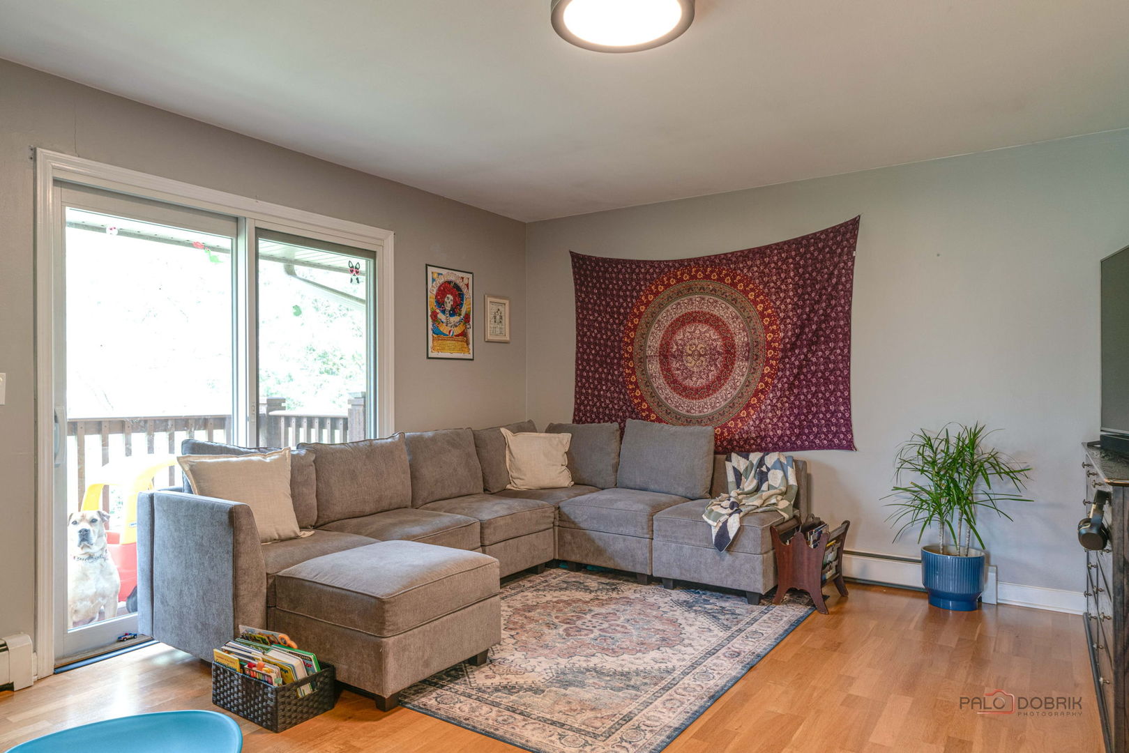 300 Opatrny Drive Unit: 224