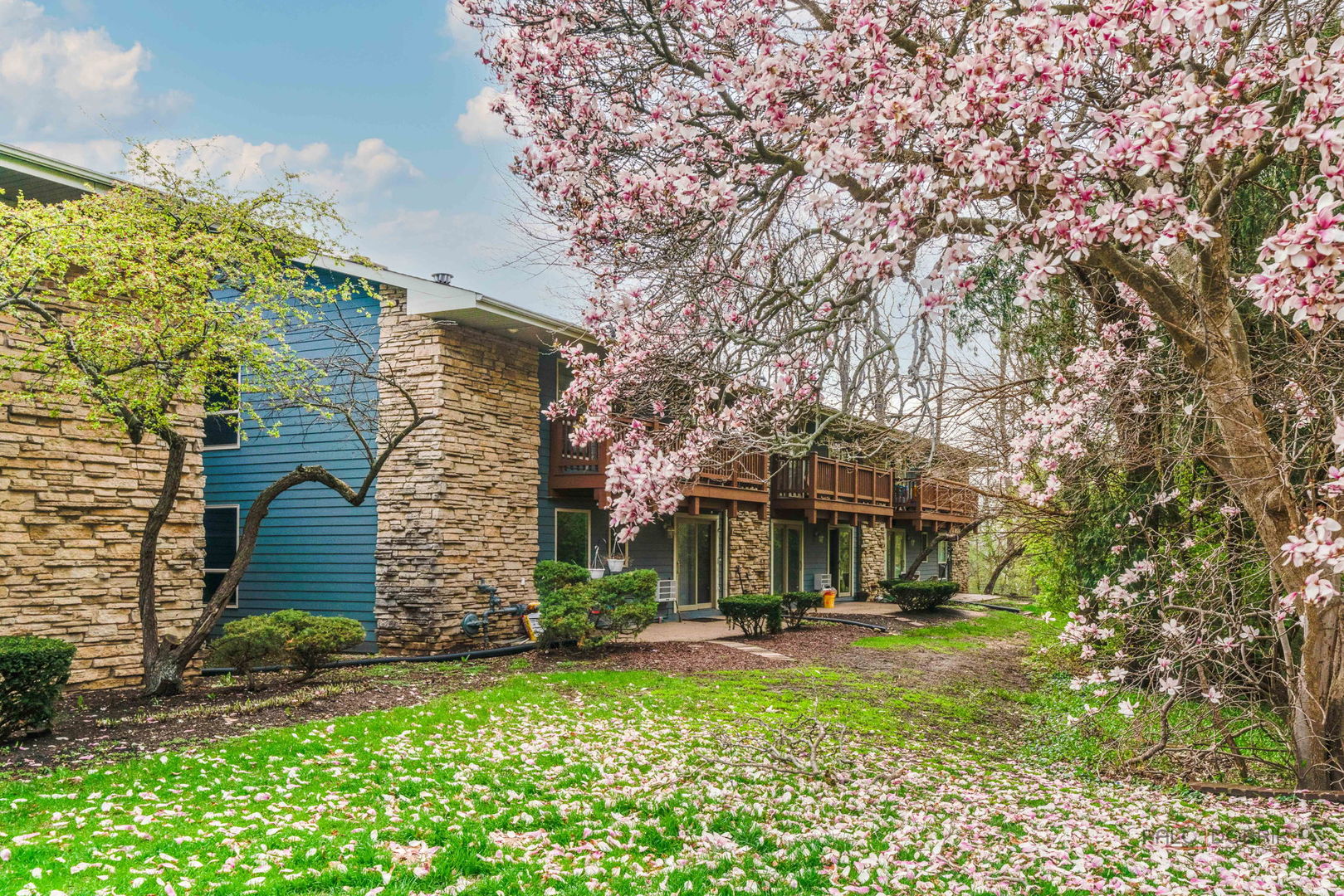 300 Opatrny Drive Unit: 224