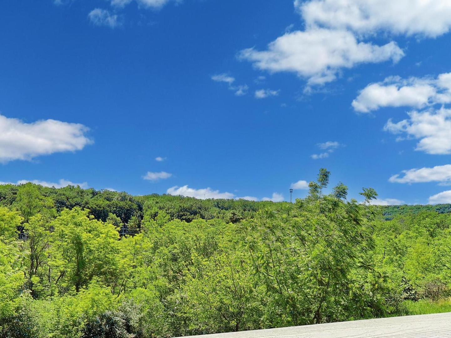 986 Viewpoint Drive