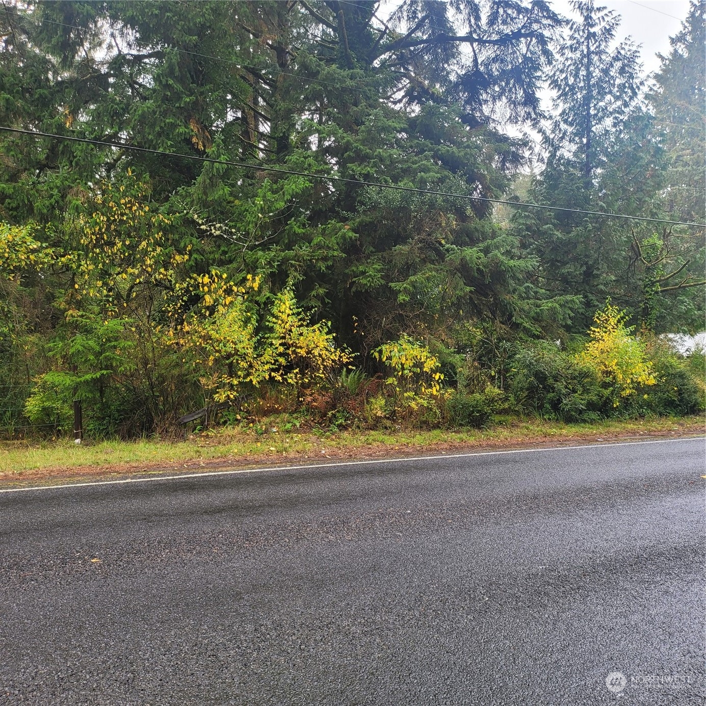 3217 St Rt 105