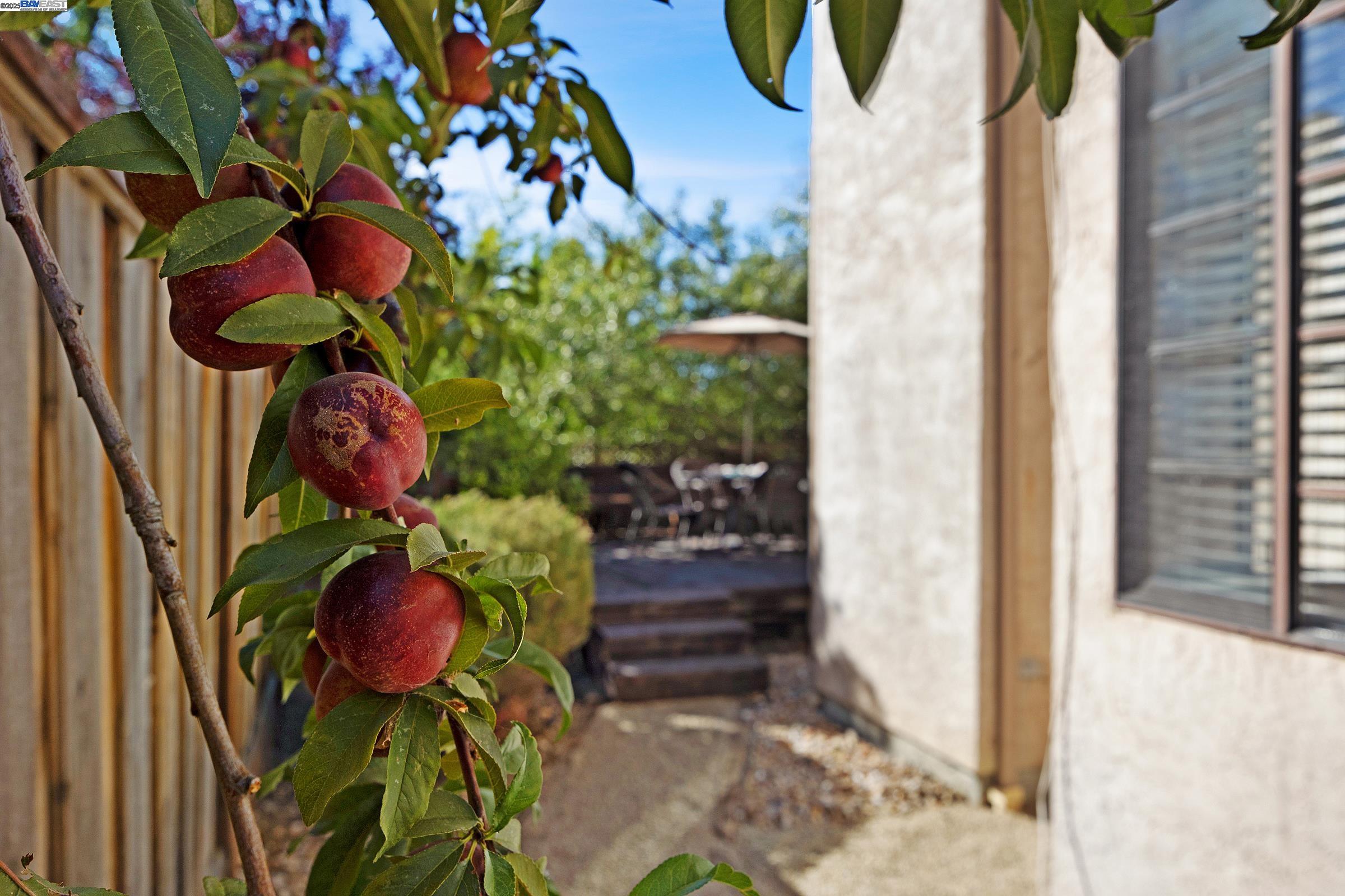 4674 Kimberley Cmn, Livermore