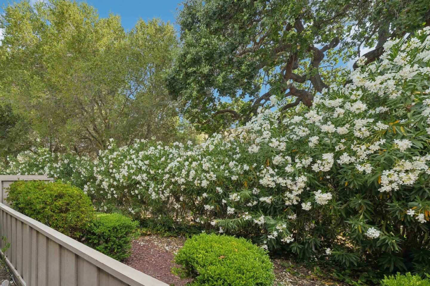 5286 Cribari Heights