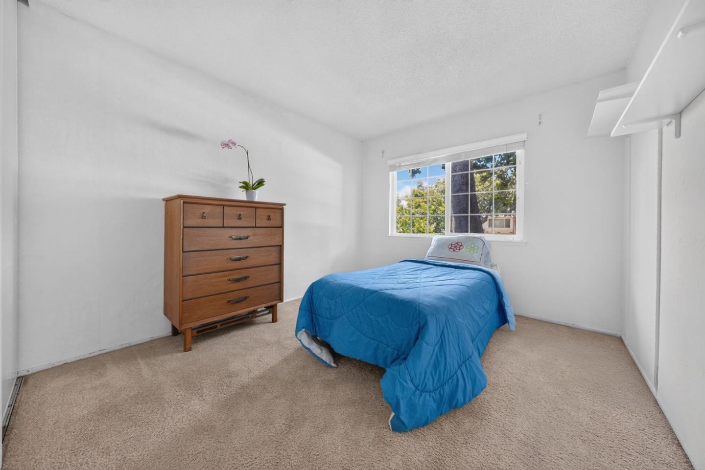 1668 Cassiar Drive