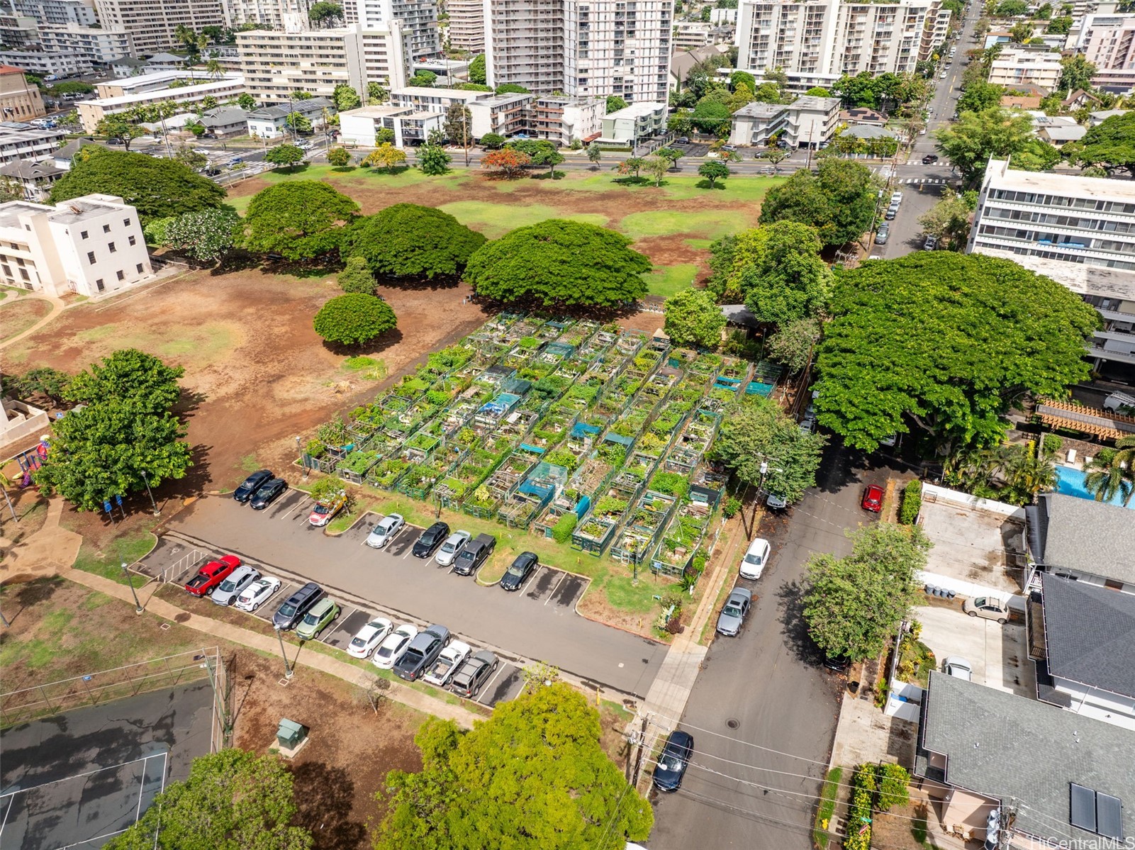 1531 Makiki Street 406