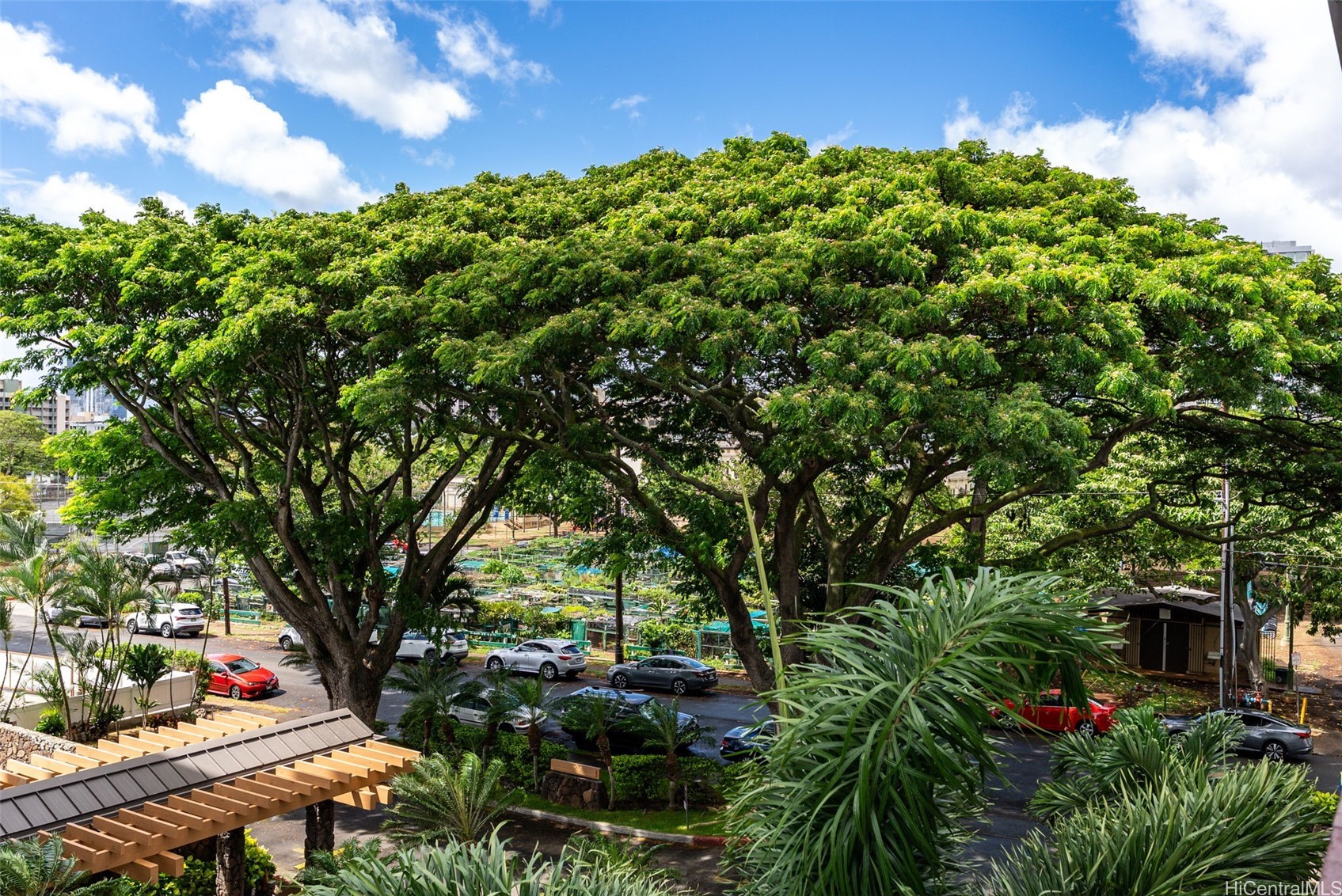 1531 Makiki Street 406