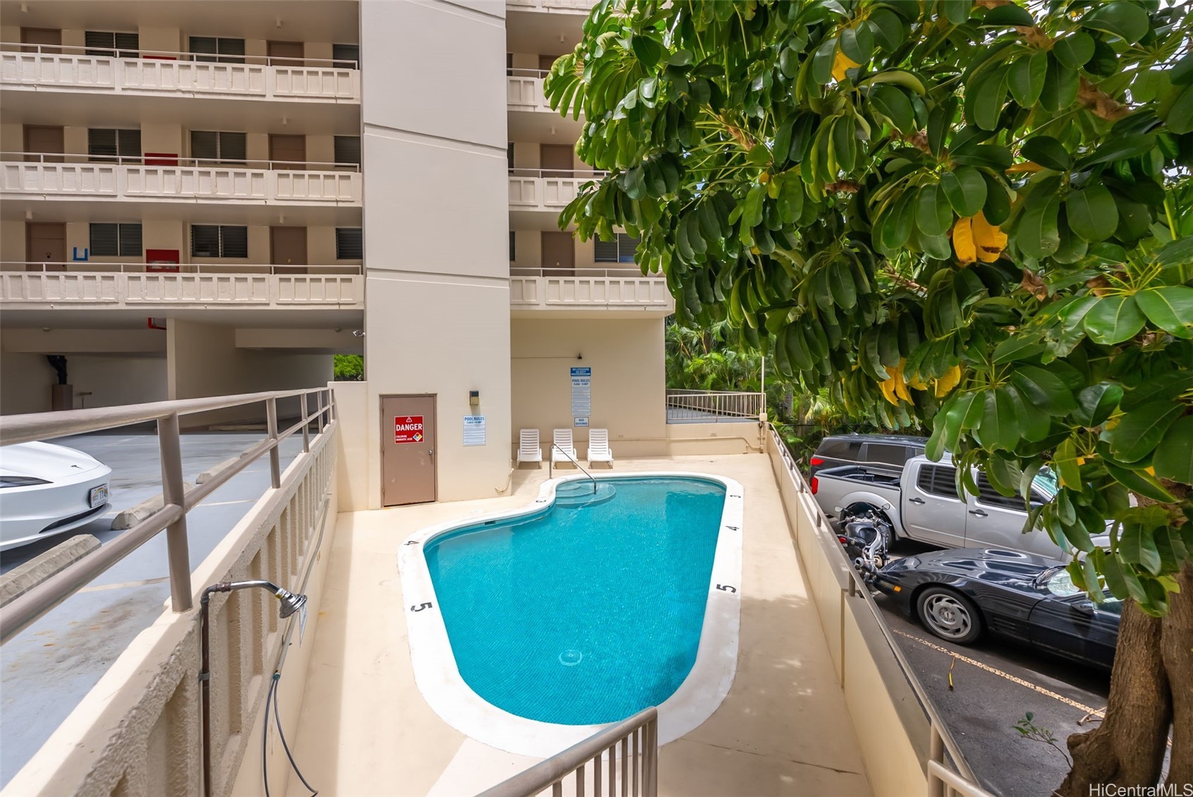 Outdoor condominium pool beside the building, shaded by a large tropical tree.