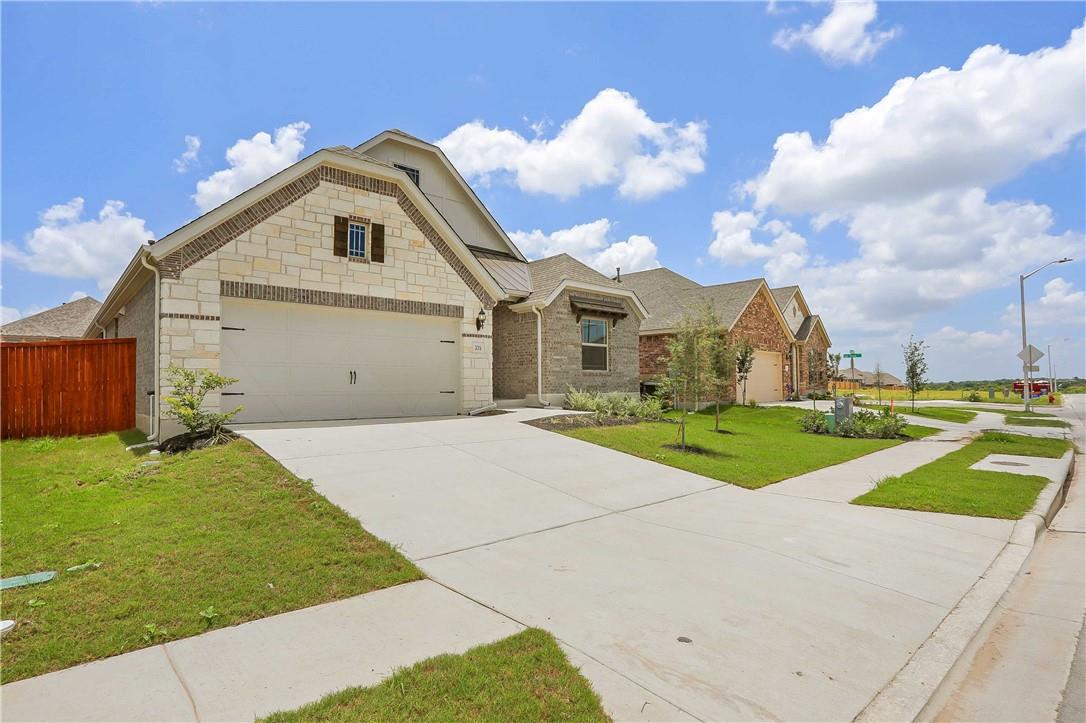 335 Spinnaker LOOP