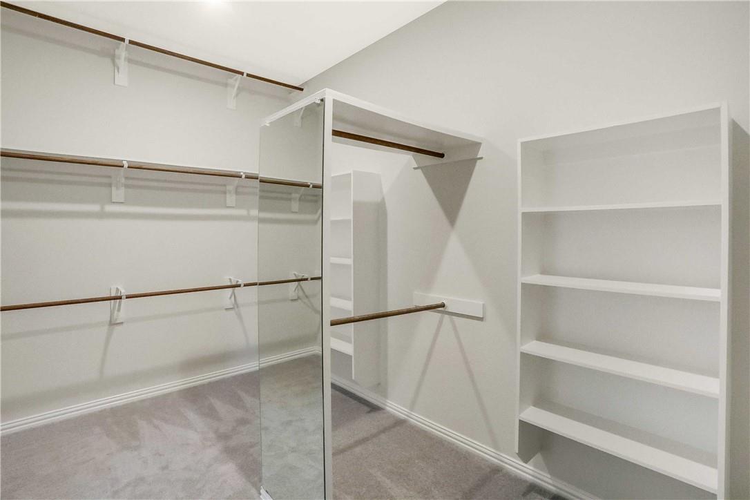 335 Spinnaker LOOP