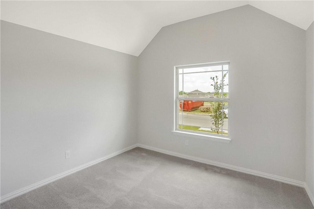335 Spinnaker LOOP