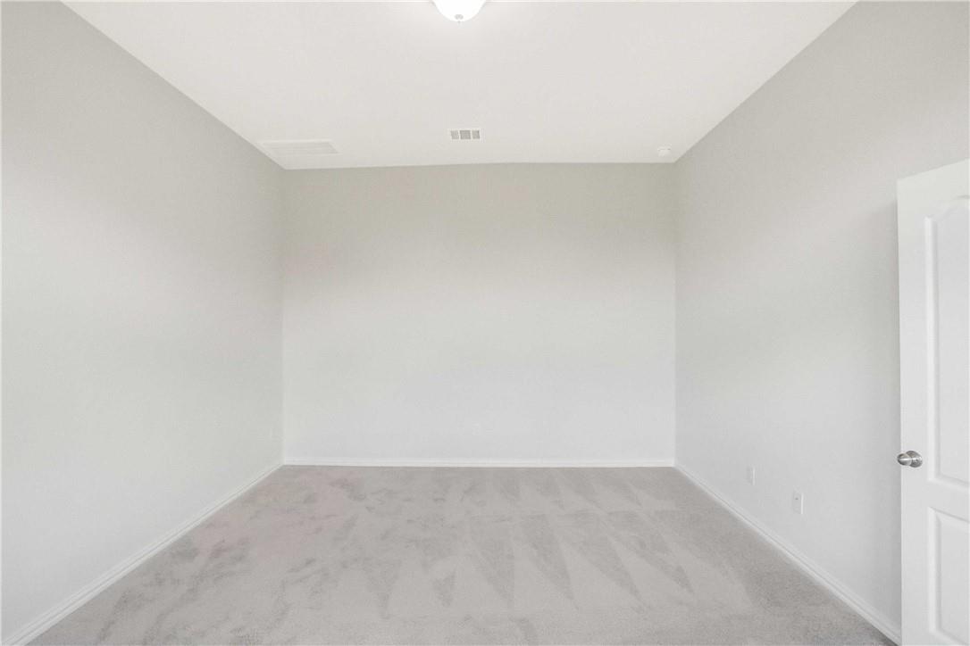 335 Spinnaker LOOP