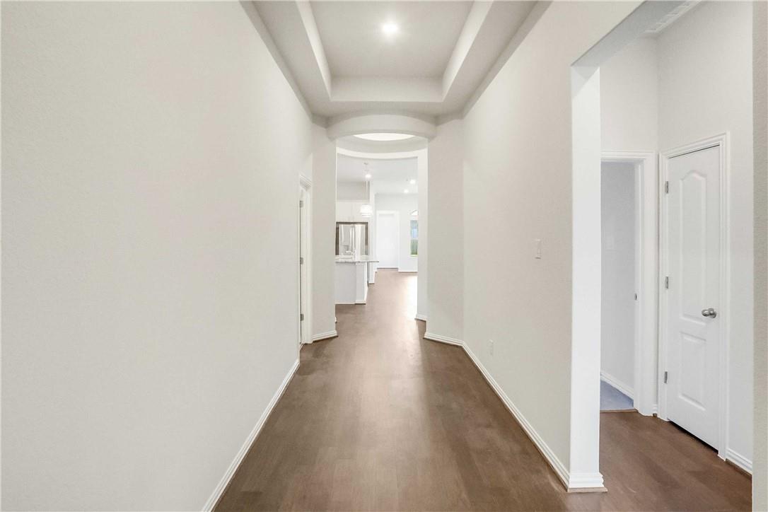 335 Spinnaker LOOP