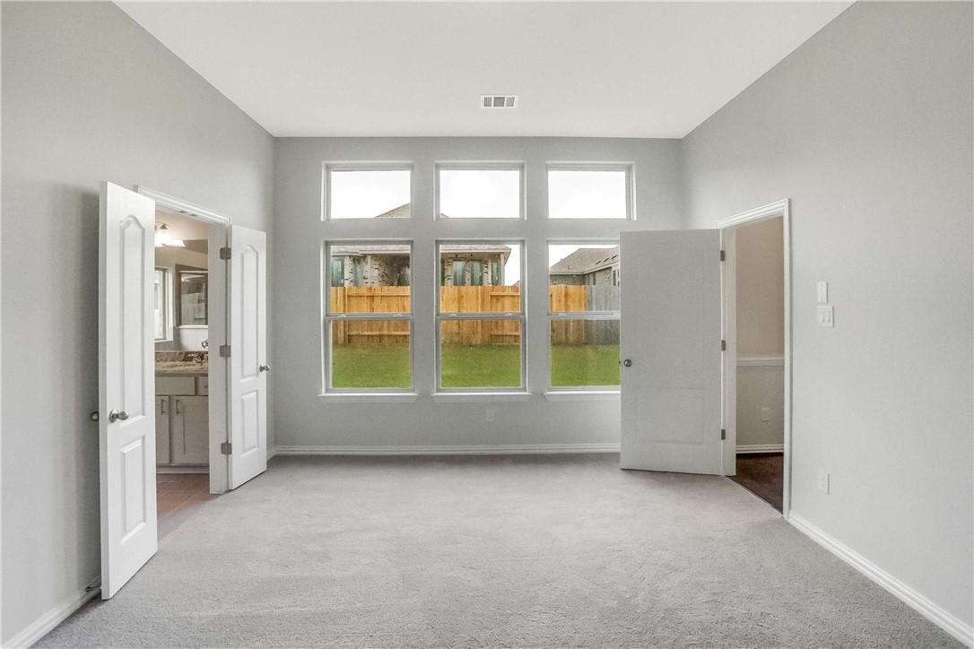 335 Spinnaker LOOP