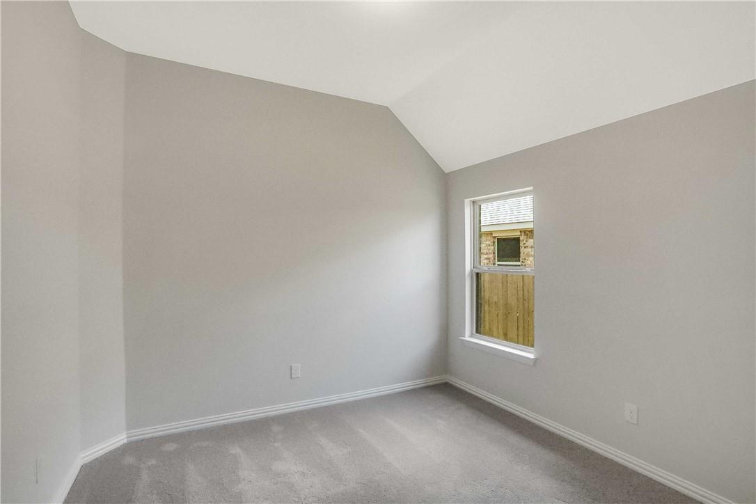 335 Spinnaker LOOP