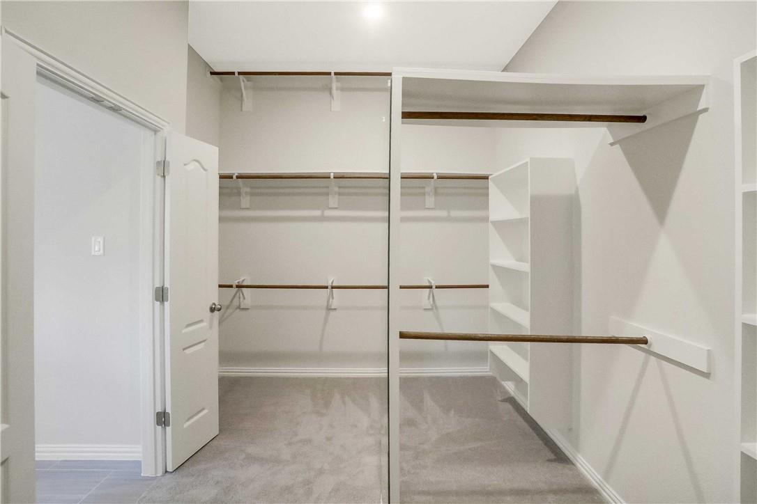 335 Spinnaker LOOP