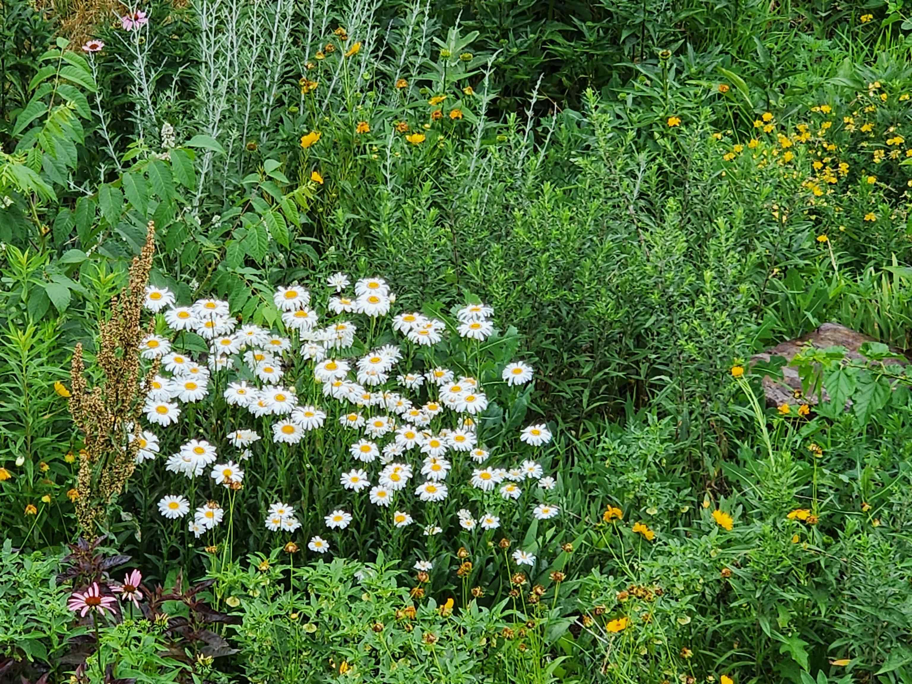 128 Westmorland Drive