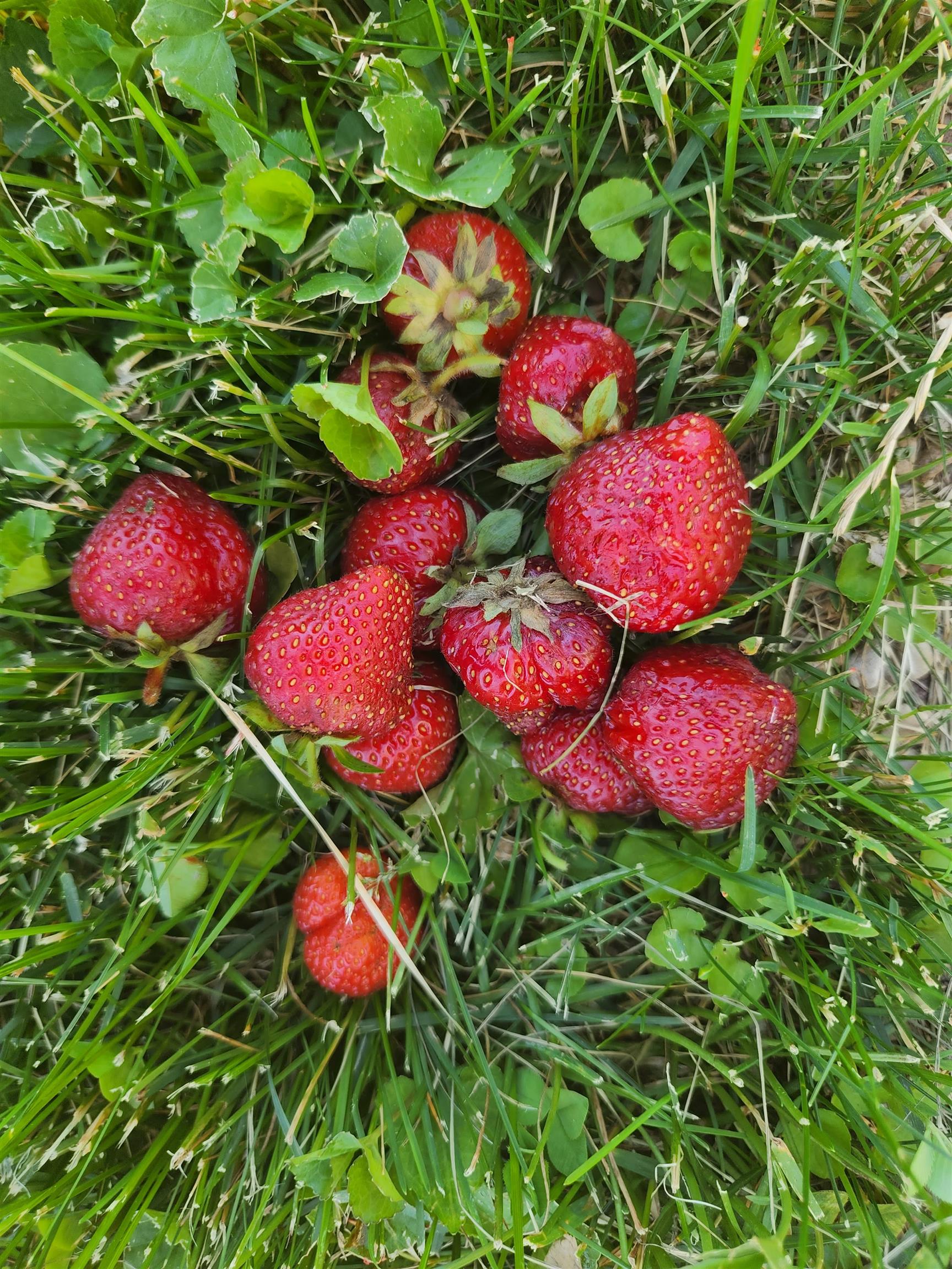 128 Westmorland Drive