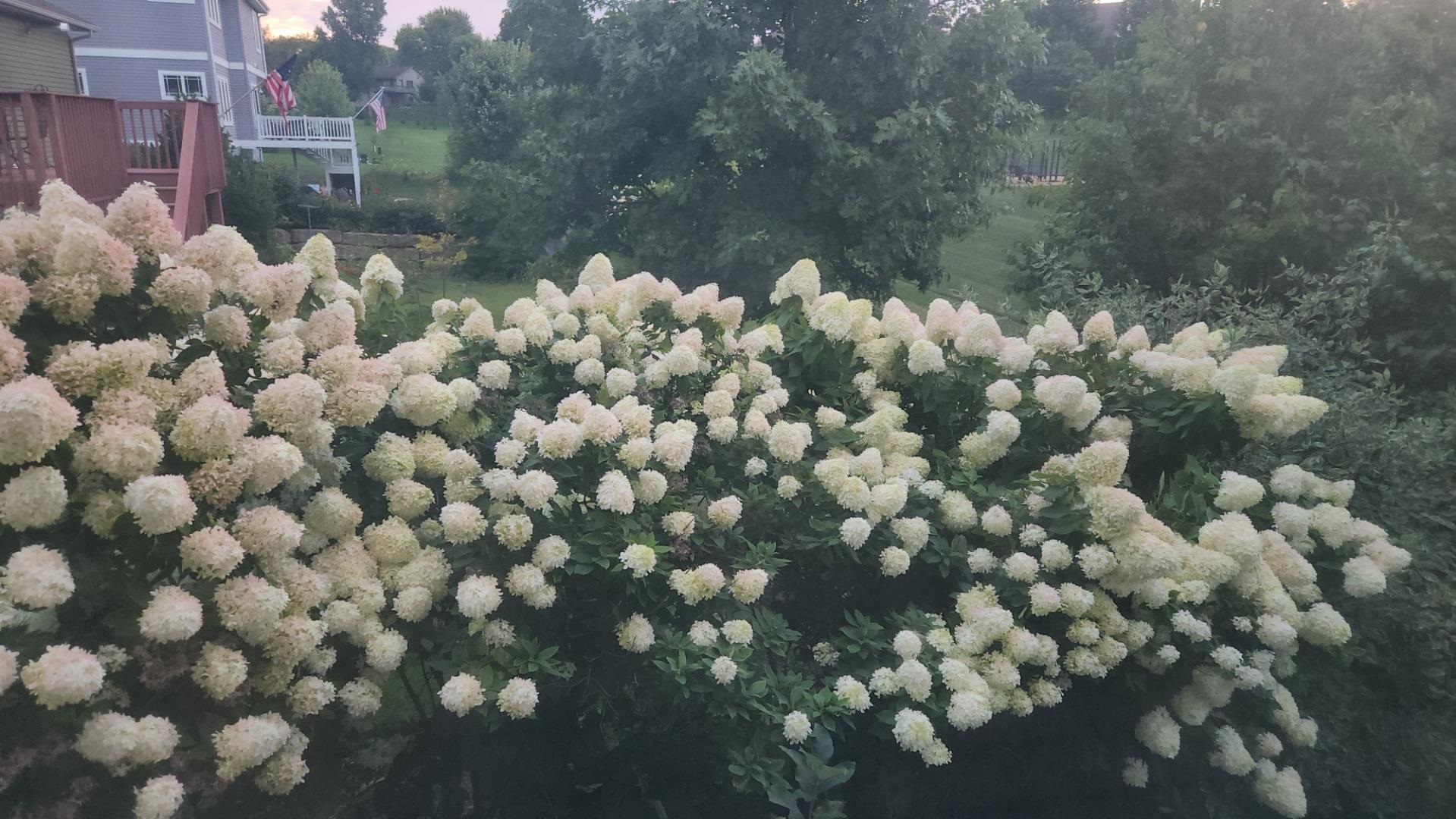 128 Westmorland Drive