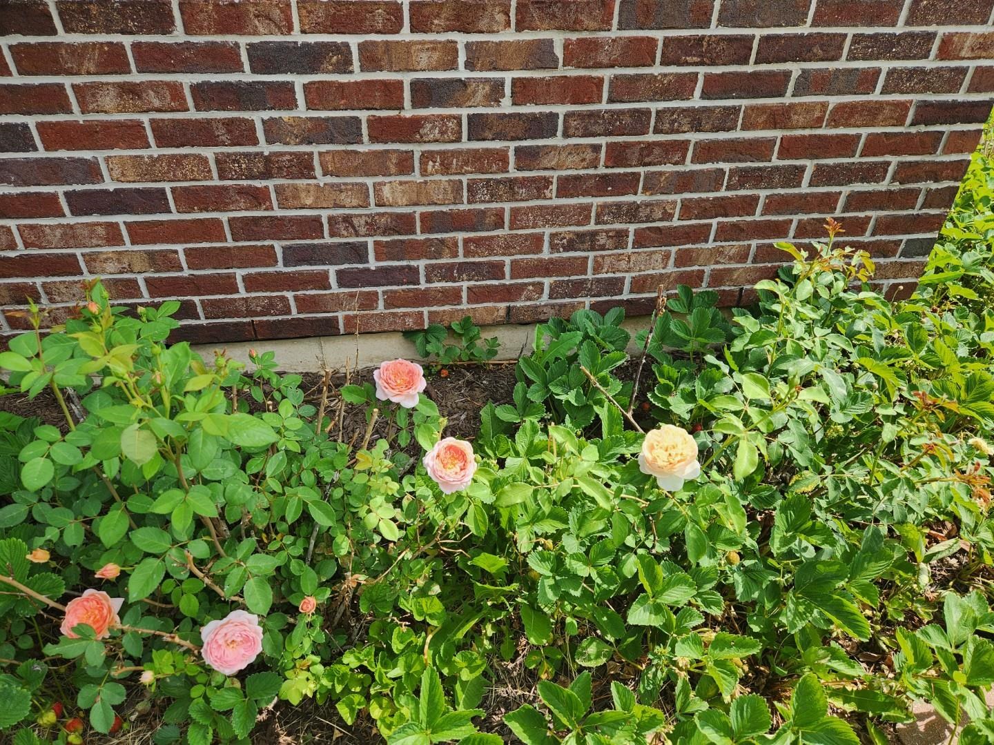 128 Westmorland Drive