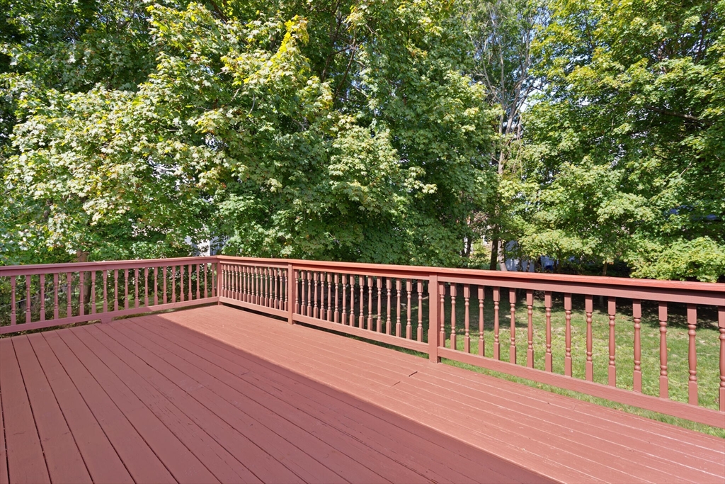 6 Meadowsweet Rd