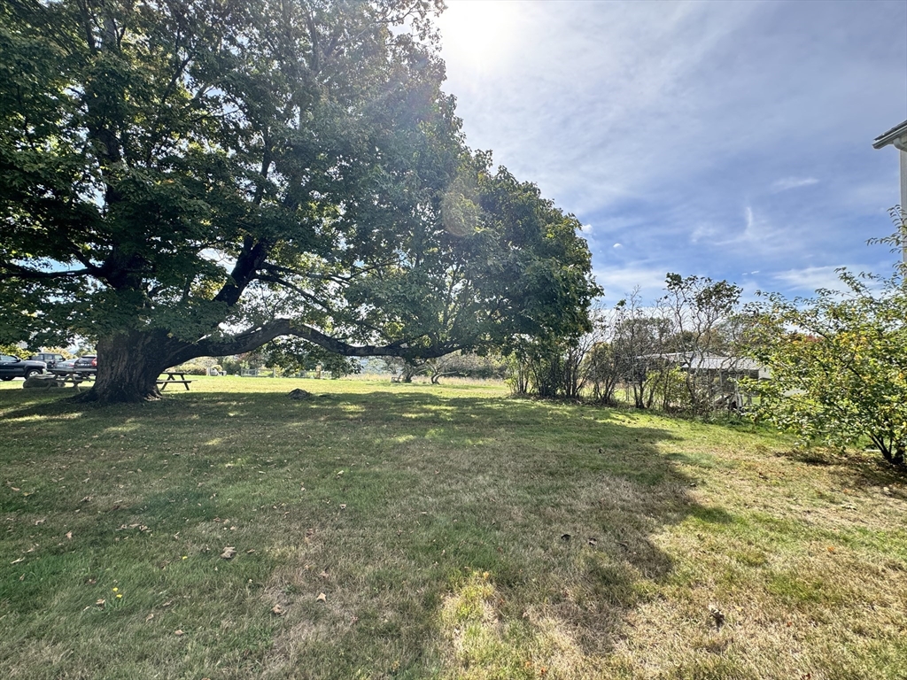 73 Potter Hill Rd