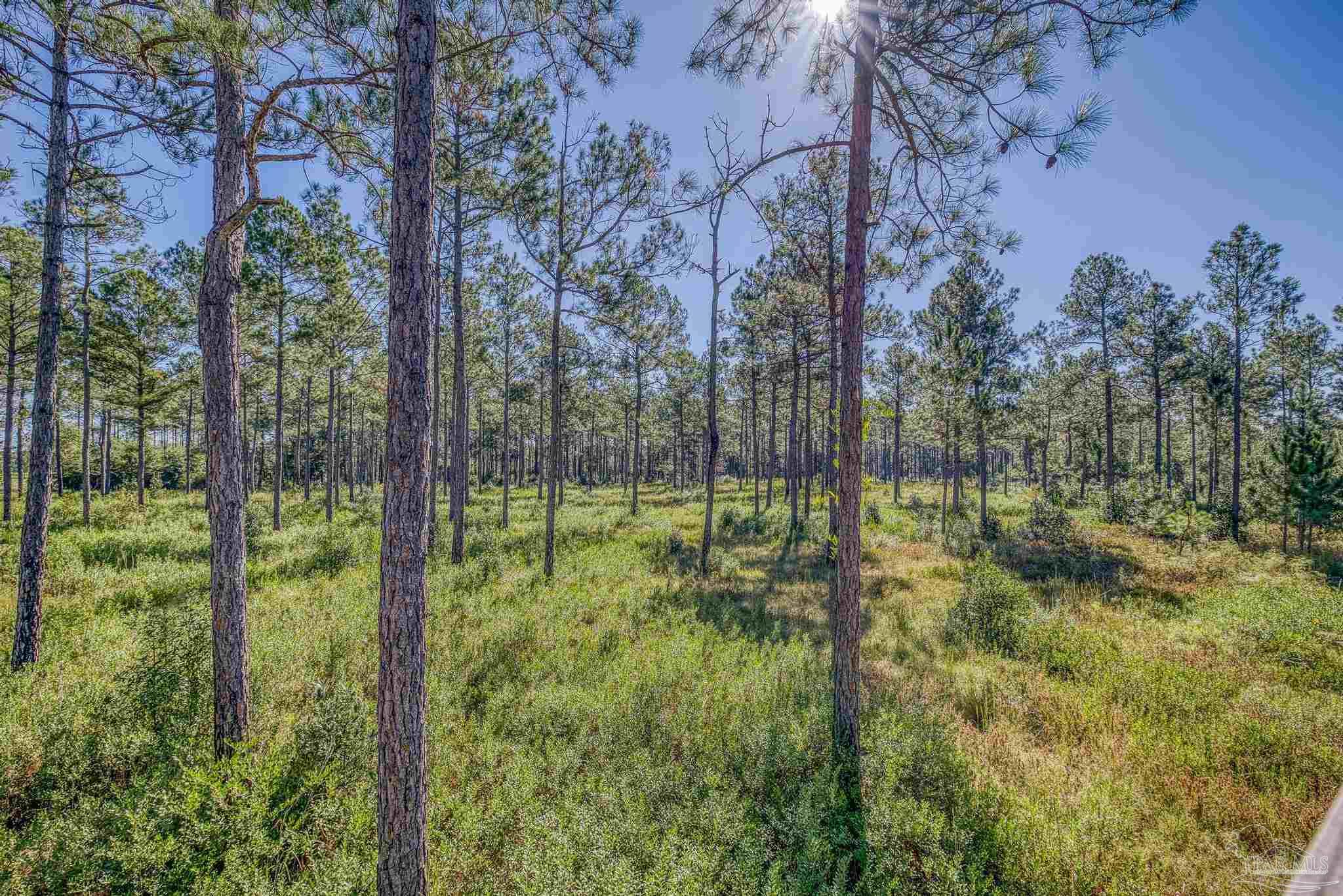 1650 Bear Bay Flats Rd