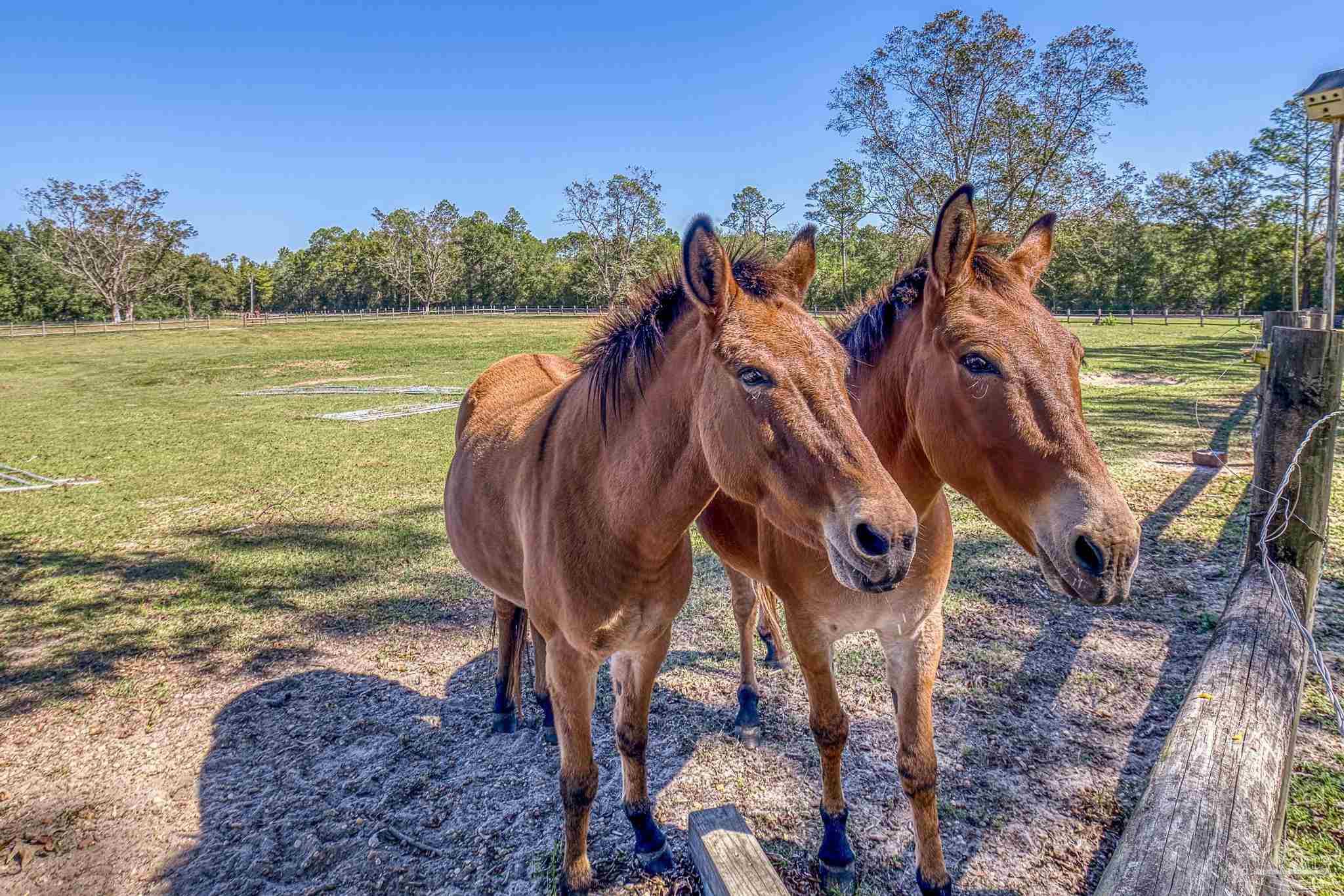 1650 Bear Bay Flats Rd