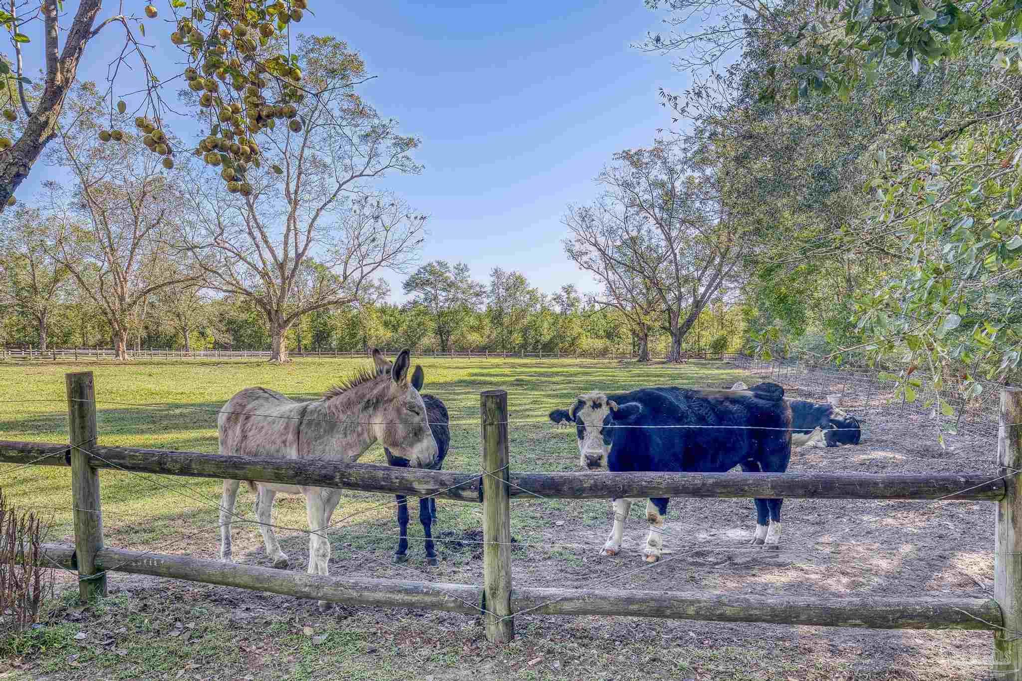 1650 Bear Bay Flats Rd