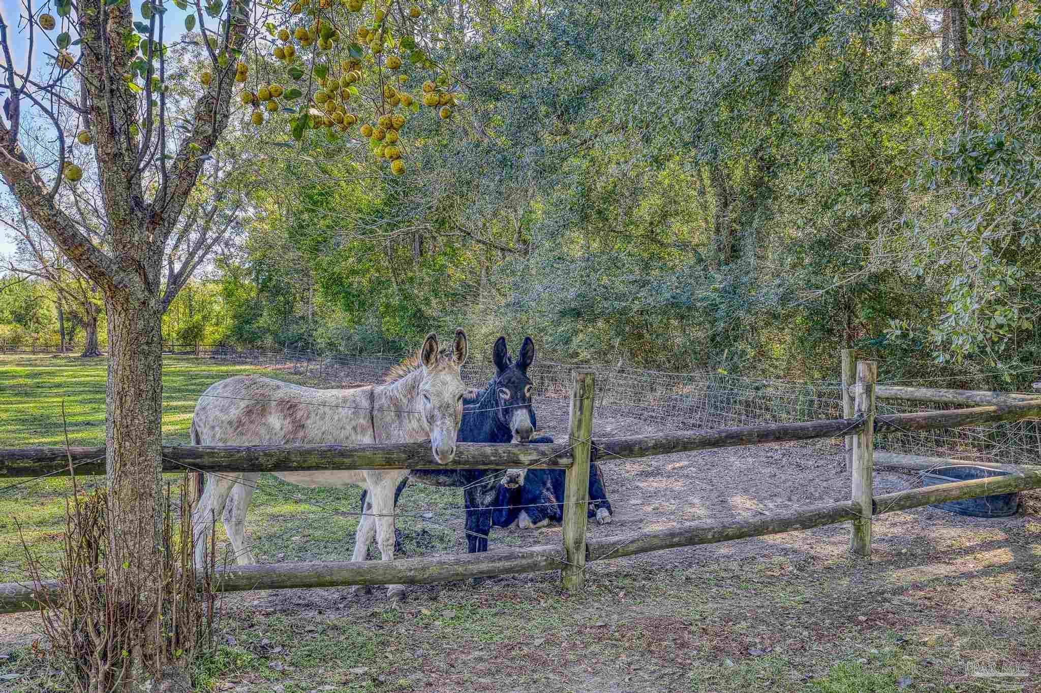 1650 Bear Bay Flats Rd