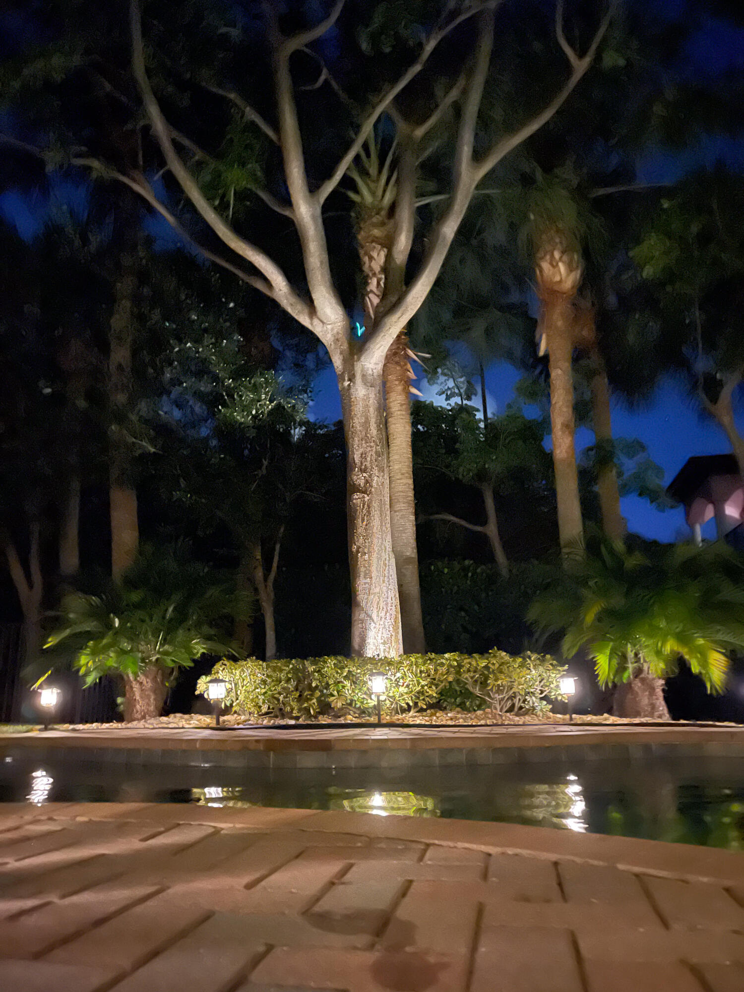 114 Diamante Way