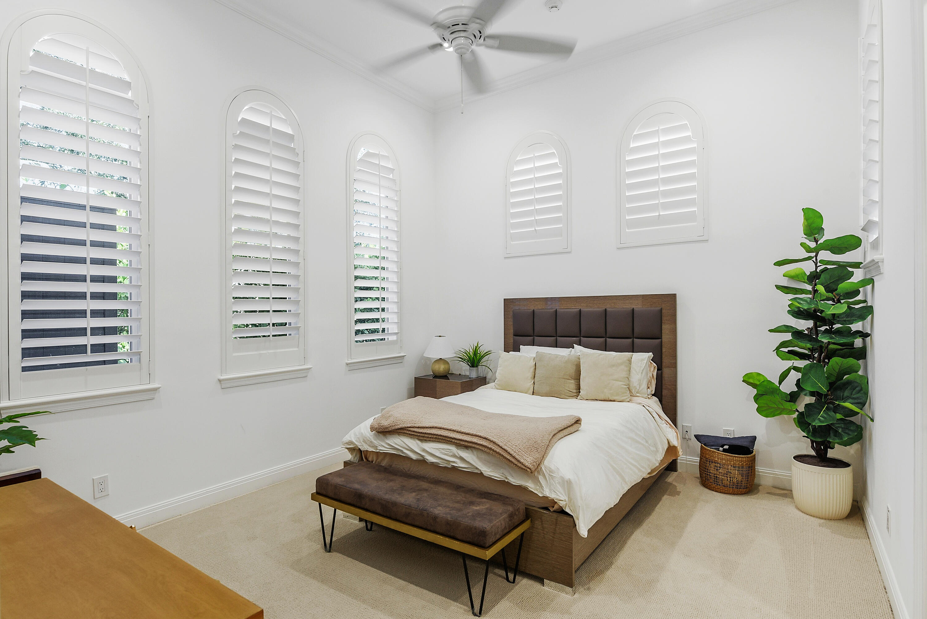 11513 Green Bayberry Drive