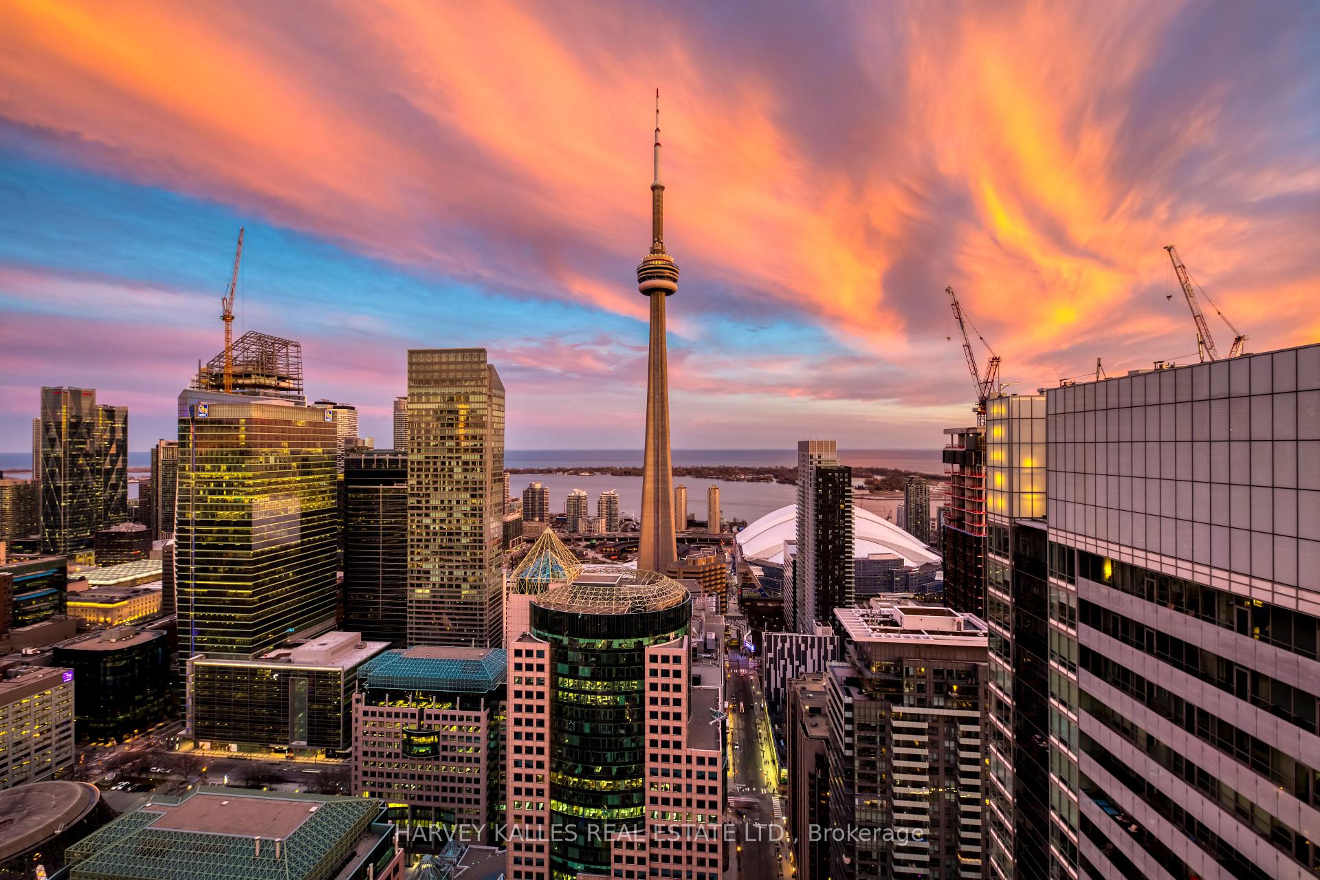 99 John Street 4801