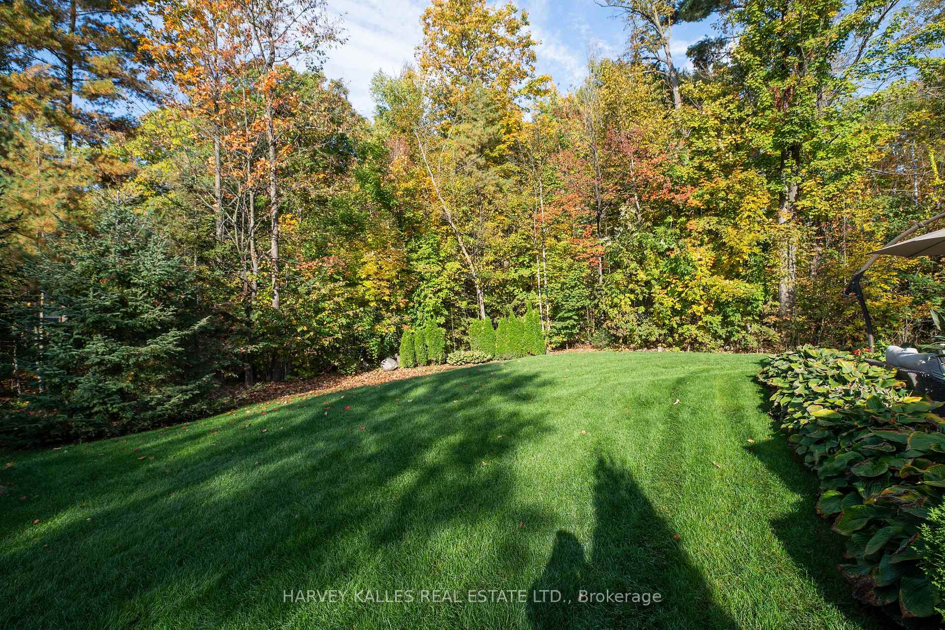 6 Georgina Drive